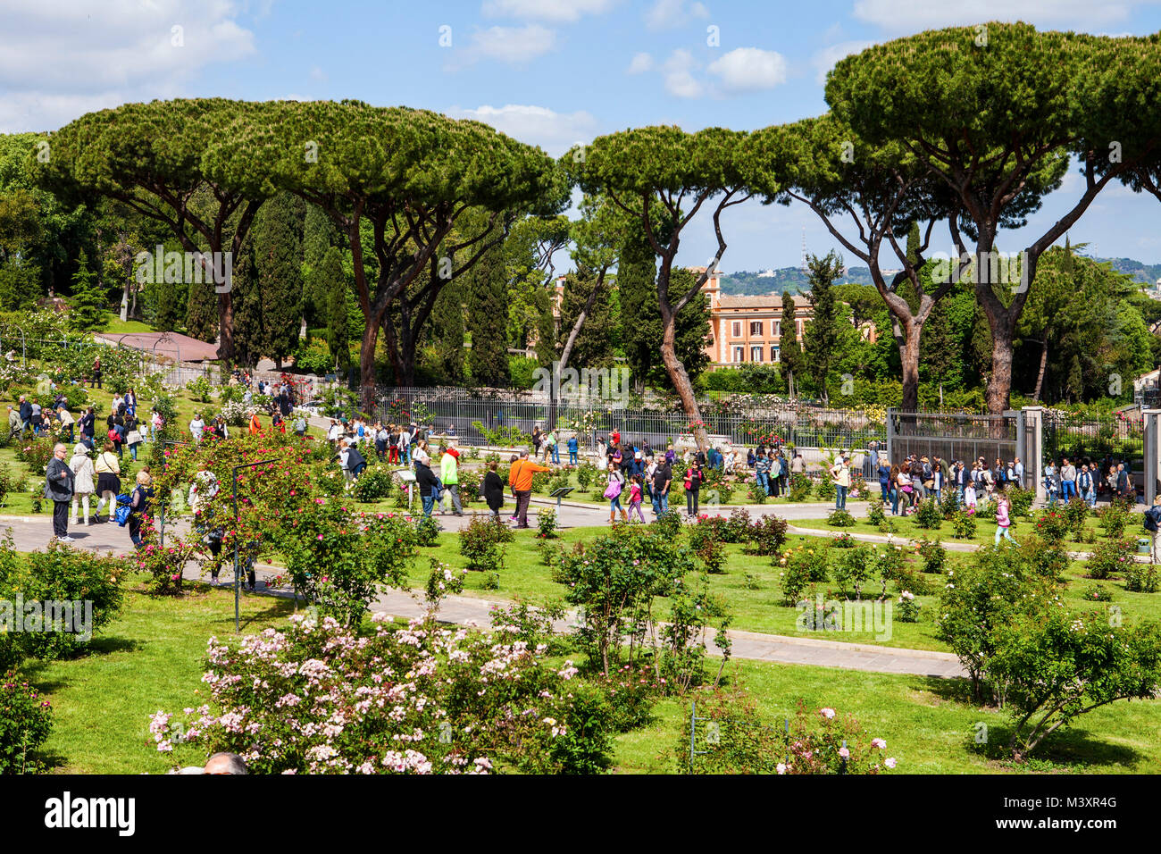 Roma, Italia - 22 Aprile 2017 : la famosa Municipal Rose Garden sul colle Aventino nel centro di Roma. È aperto durante i mesi primaverili ed estivi e Foto Stock