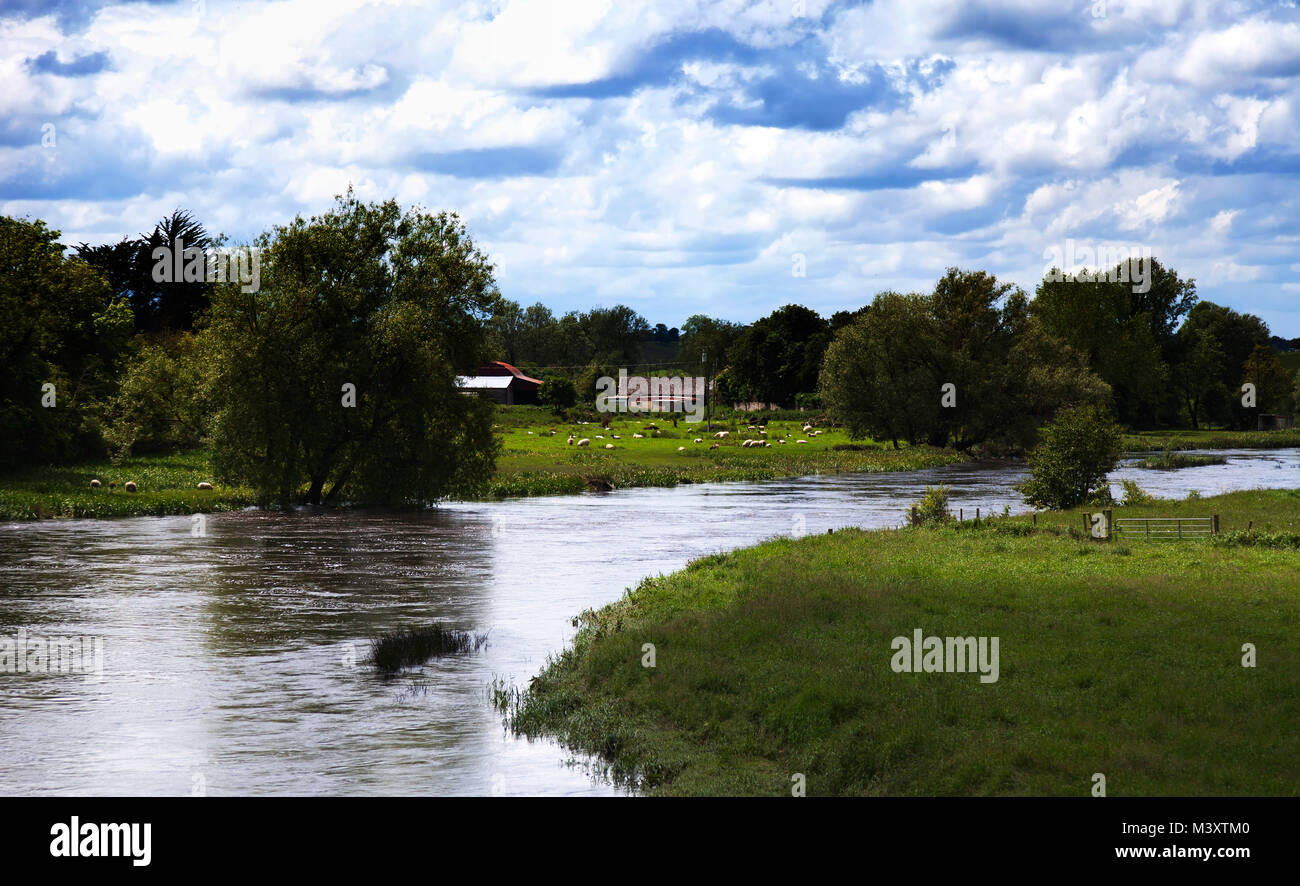 Naturale paesaggio irlandese, Boyne Valley, Irlanda Foto Stock