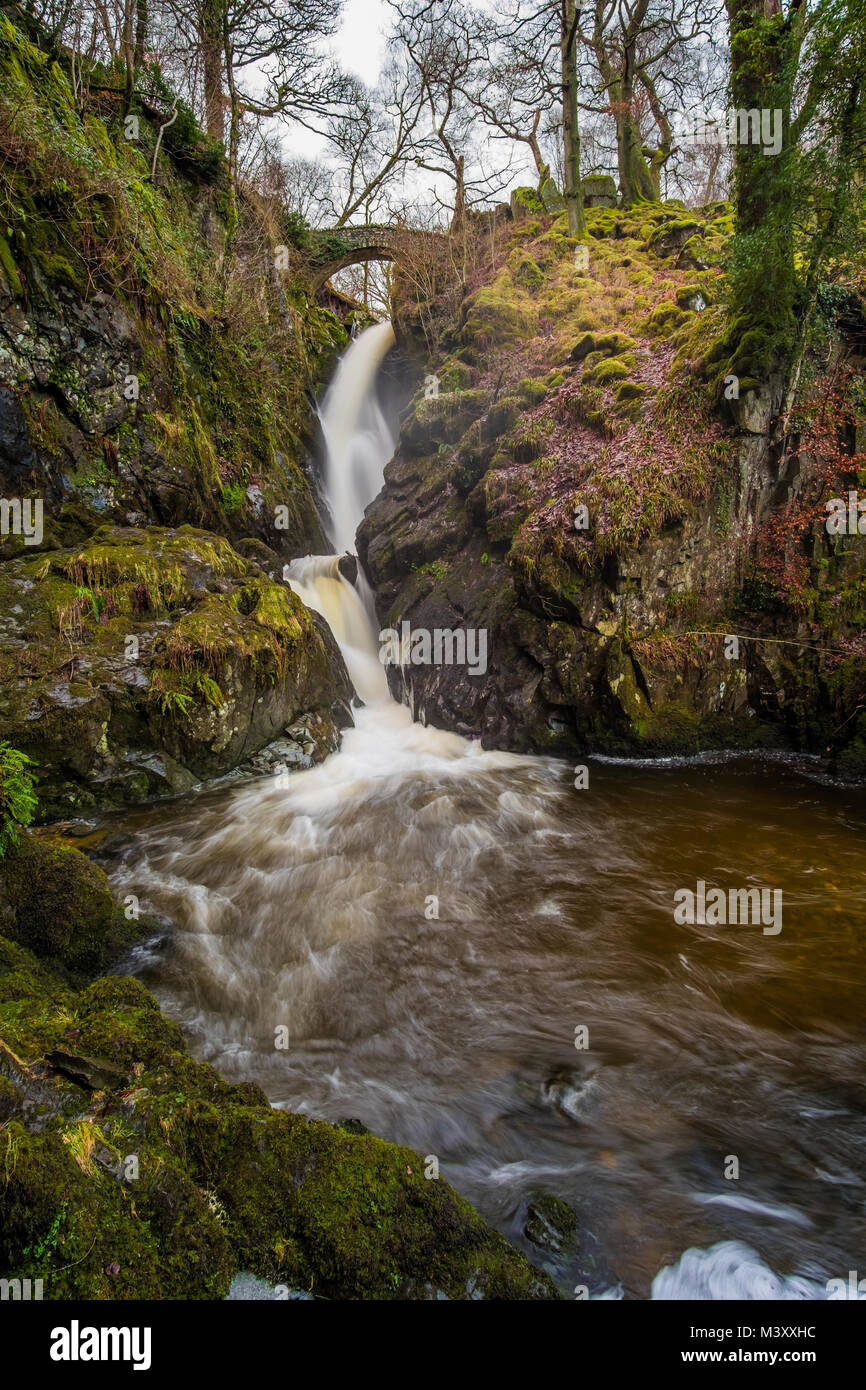 Aira Force cascata, Lake District inglese Foto Stock