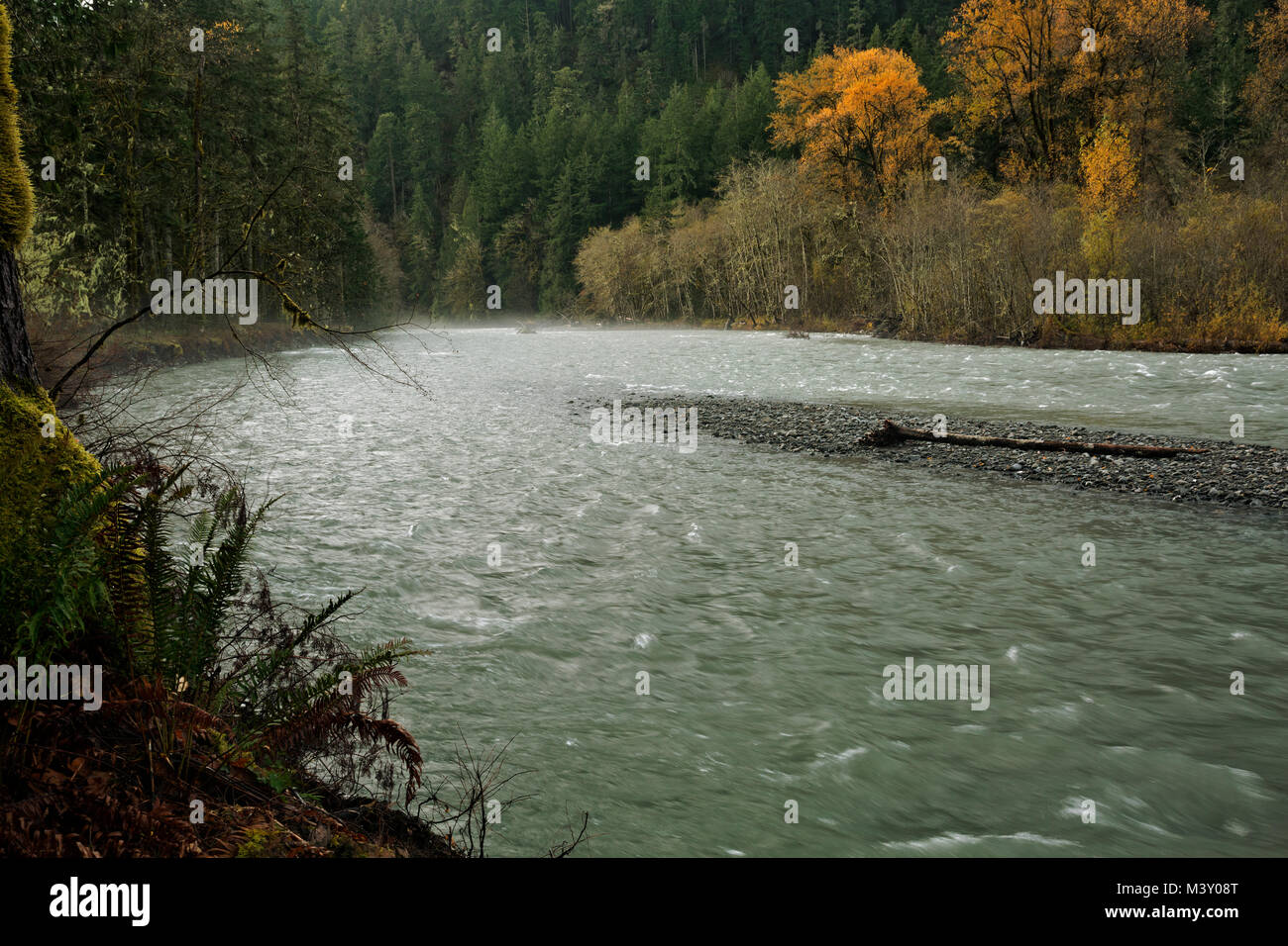 WA13369-00...WASHINGTON - Il fiume Elwah trovare il proprio canale dopo la rimozione della diga Glines nel Parco Nazionale di Olympic. Foto Stock