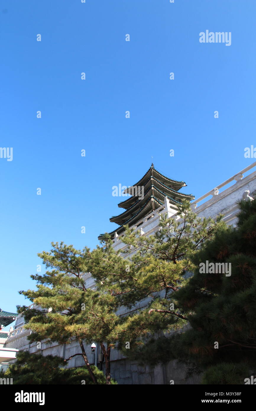 Il coreano tradizionale stile del tetto con i rami degli alberi di pino presso il Palazzo Gyeongbokgung, Seoul, Corea del Sud Foto Stock
