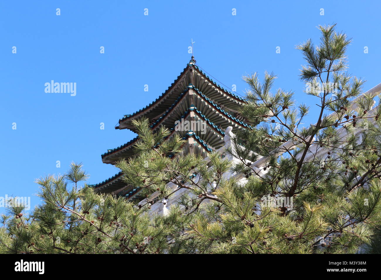 Il coreano tradizionale stile del tetto con i rami degli alberi di pino presso il Palazzo Gyeongbokgung, Seoul, Corea del Sud Foto Stock