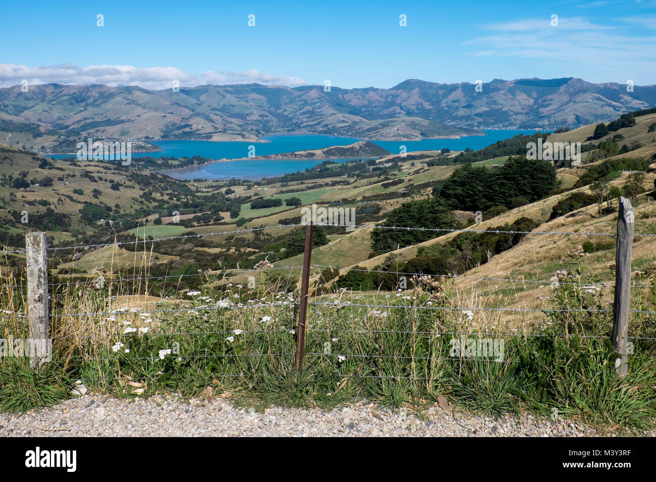 Vista sulla baia di Akaroa Foto Stock