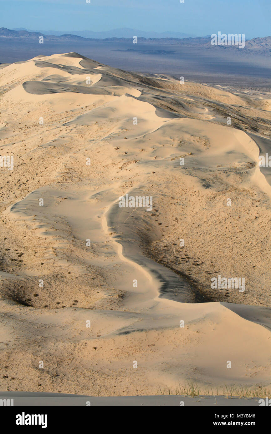 Kelso dune, California, USA. 10 Febbraio, 2018. Il Kelso dune di sabbia coprono 45 miglia quadrate e aumento di 650 piedi sopra il pavimento del deserto. Mojave National Preserve presenta un maggiore campo di dune a valle della morte e ha più alberi di Joshua a Joshua Tree National Park. Kelso dune, noto anche come il Kelso campo di dune, è il campo più vasto delle Eolie depositi di sabbia nel deserto di Mojave. La regione è protetto mediante il Mojave National Preserve e si trova a San Bernardino County. Il campo di dune include la migrazione di dune, vegetazione-dune stabilizzate, fogli di sabbia e rampe di sabbia. Le dune più alte alzarsi Foto Stock