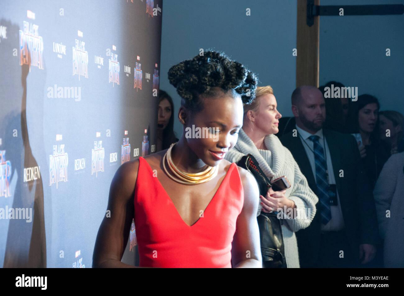 New York, Stati Uniti d'America. 12 Febbraio, 2018. Marvel Black Panther Red Carpet evento al credito NYFW: Lauren Browdy/Alamy Live News Foto Stock