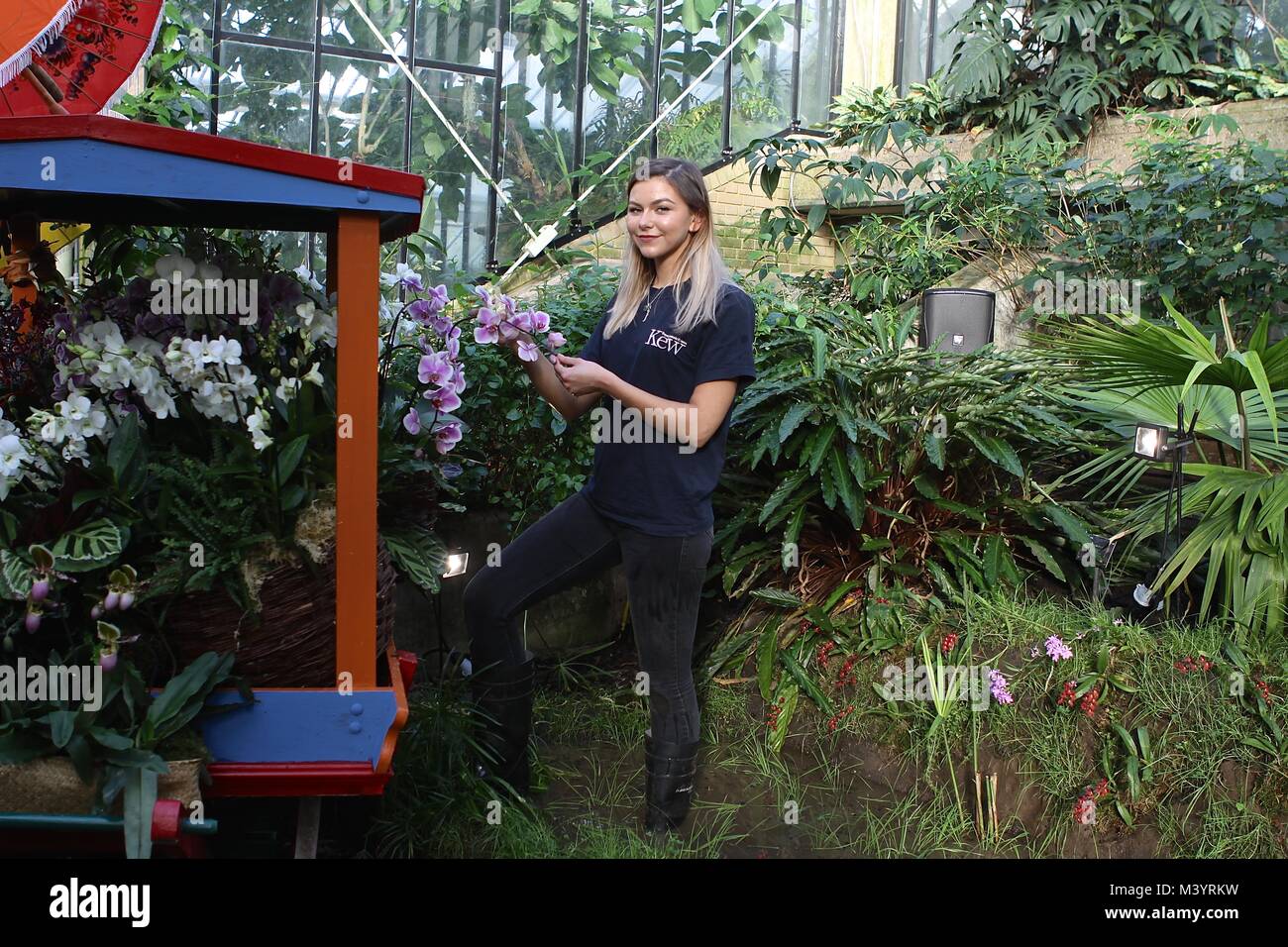 Orchidee festival a Kew Gardens LONDRA 2018 Foto Stock