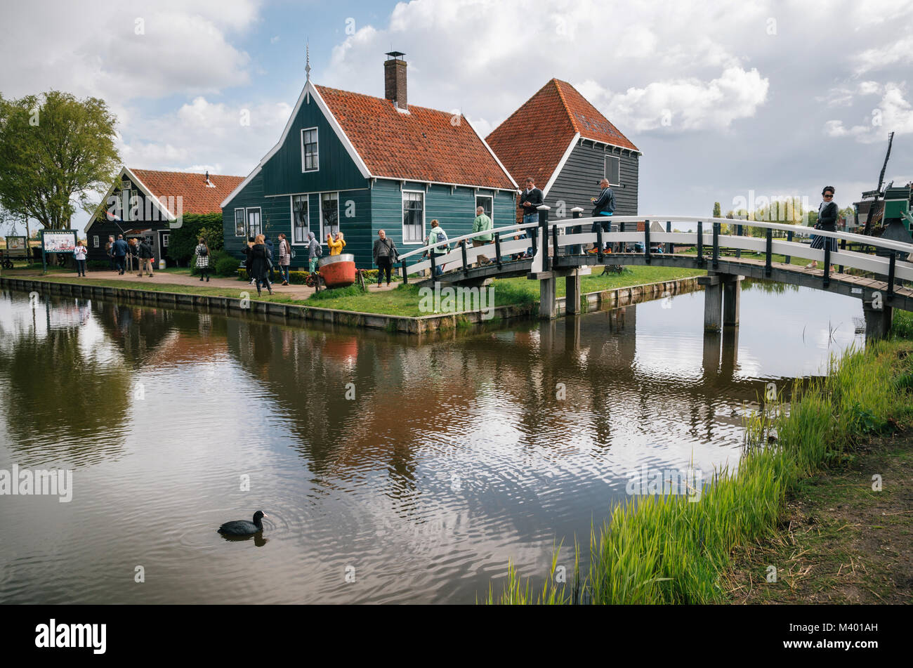 Zaanstad, Paesi Bassi - 26 April, 2017: autentico Zaandam mulini e vibranti tradizionali case sul canale d'acqua in Zaanstad village, fiume Zaan, Net Foto Stock