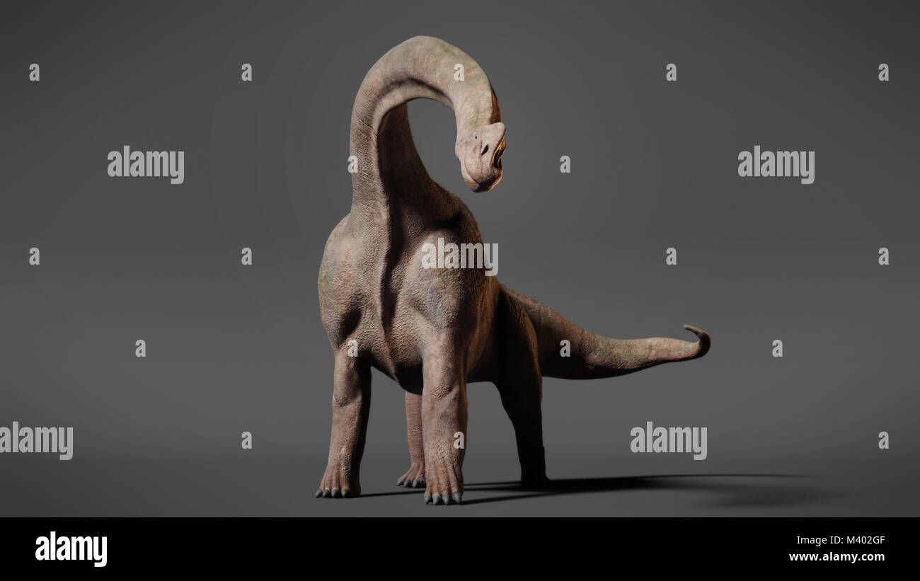 Brachiosaurus altithorax dinosauro Foto Stock
