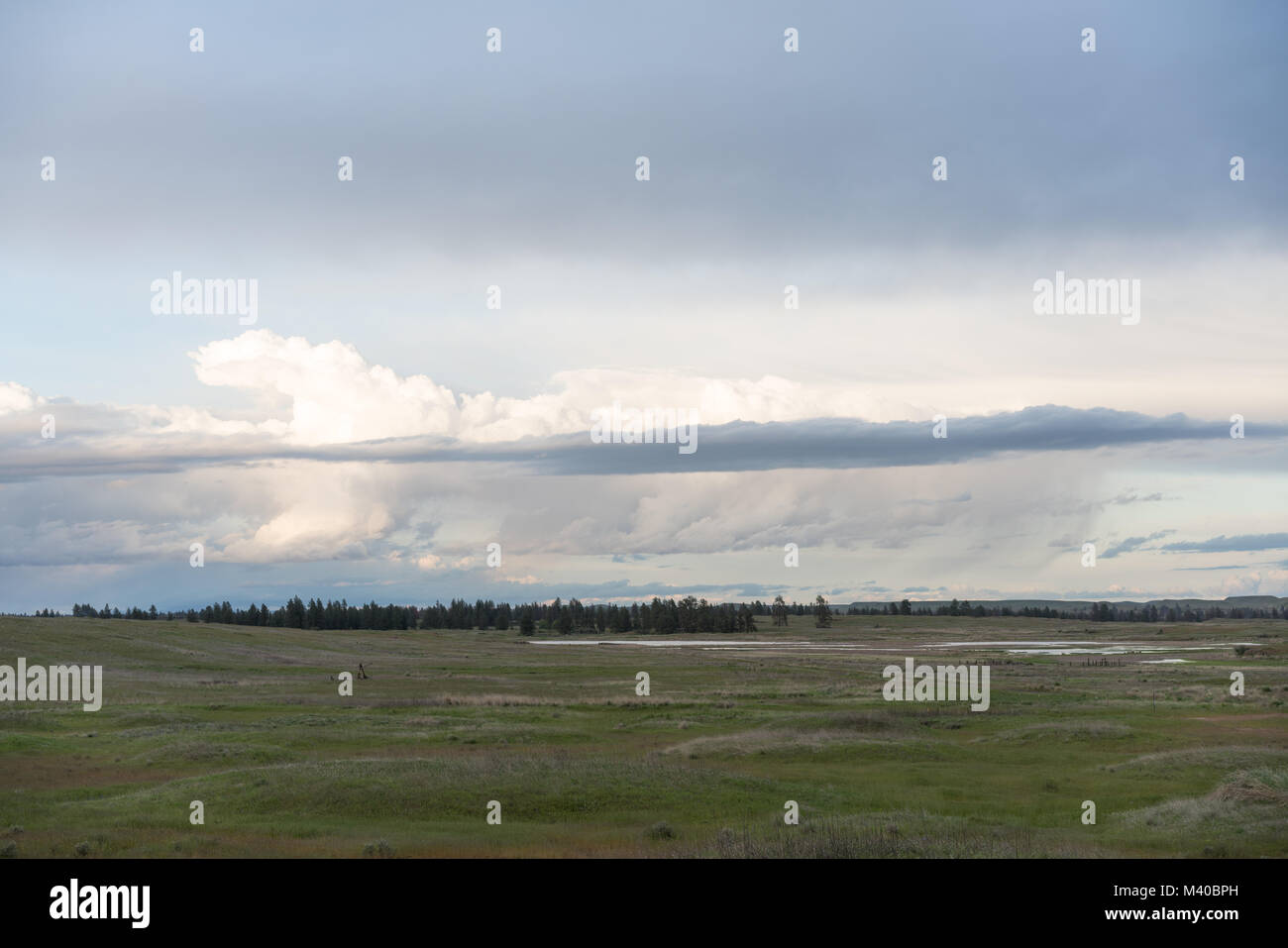 Un campo aperto vicino a Spokane Washington Foto Stock