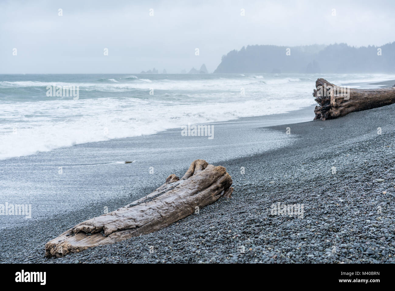 Rialto Beach sulla costa di Washington con un antico tronco di albero in primo piano. Foto Stock