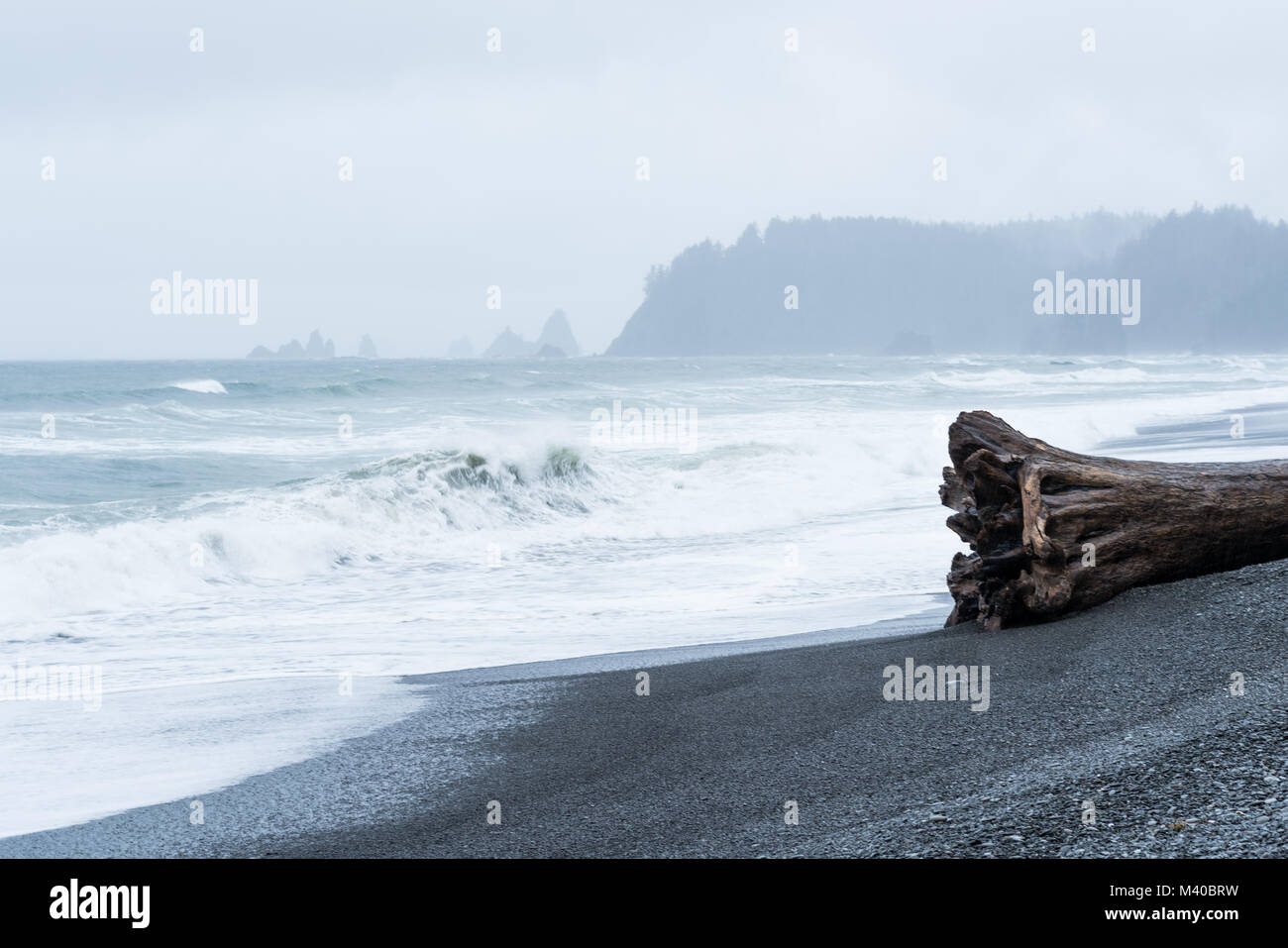 Rialto Beach sulla costa di Washington con un antico tronco di albero in primo piano. Foto Stock