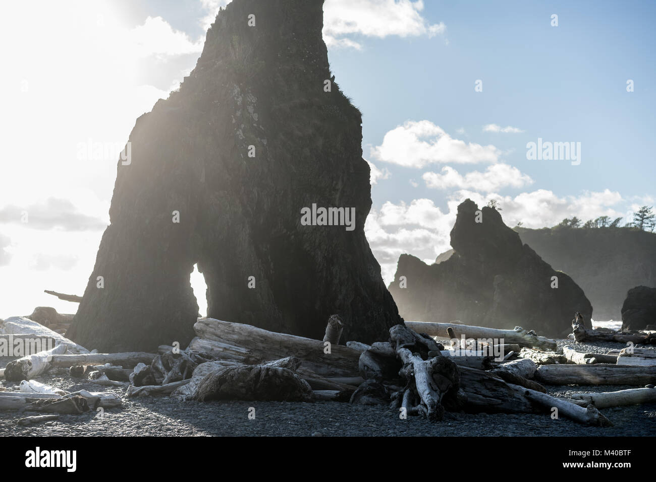 Affioramenti rocciosi a Ruby Beach, Washington sulla costa del Pacifico. Foto Stock