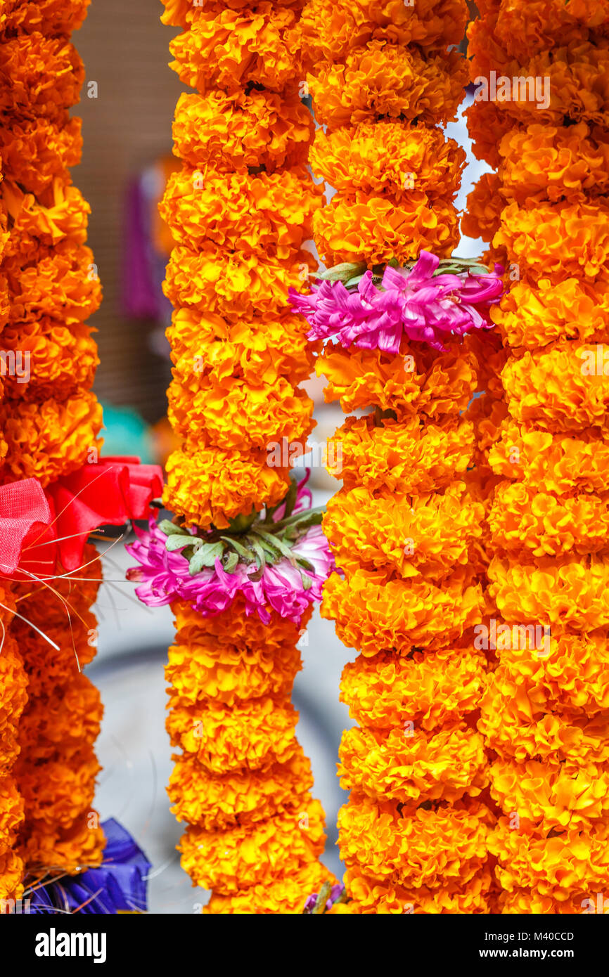 Mala, tradizionale Nepalese ghirlande di fiori realizzati con Tagetes (Calendula) venduti nei mercati giornalieri per l'adora e rituali, Nepal. L'immagine verticale. Foto Stock