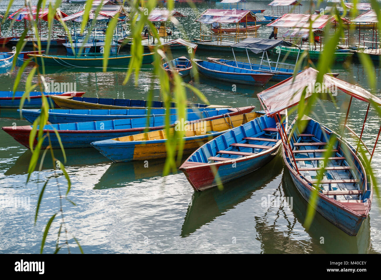 Barche colorate sul lago Phewa, Pokhara, Nepal Foto Stock