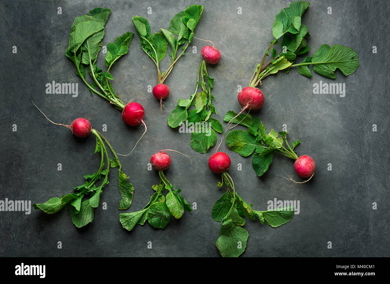 Crudo fresco rosso maturo Ravanelli con foglie verdi sparsi sul calcestruzzo scuro dello sfondo di pietra. Vista superiore piatta. laici Stile minimalista. Immagine creativa Templat Foto Stock