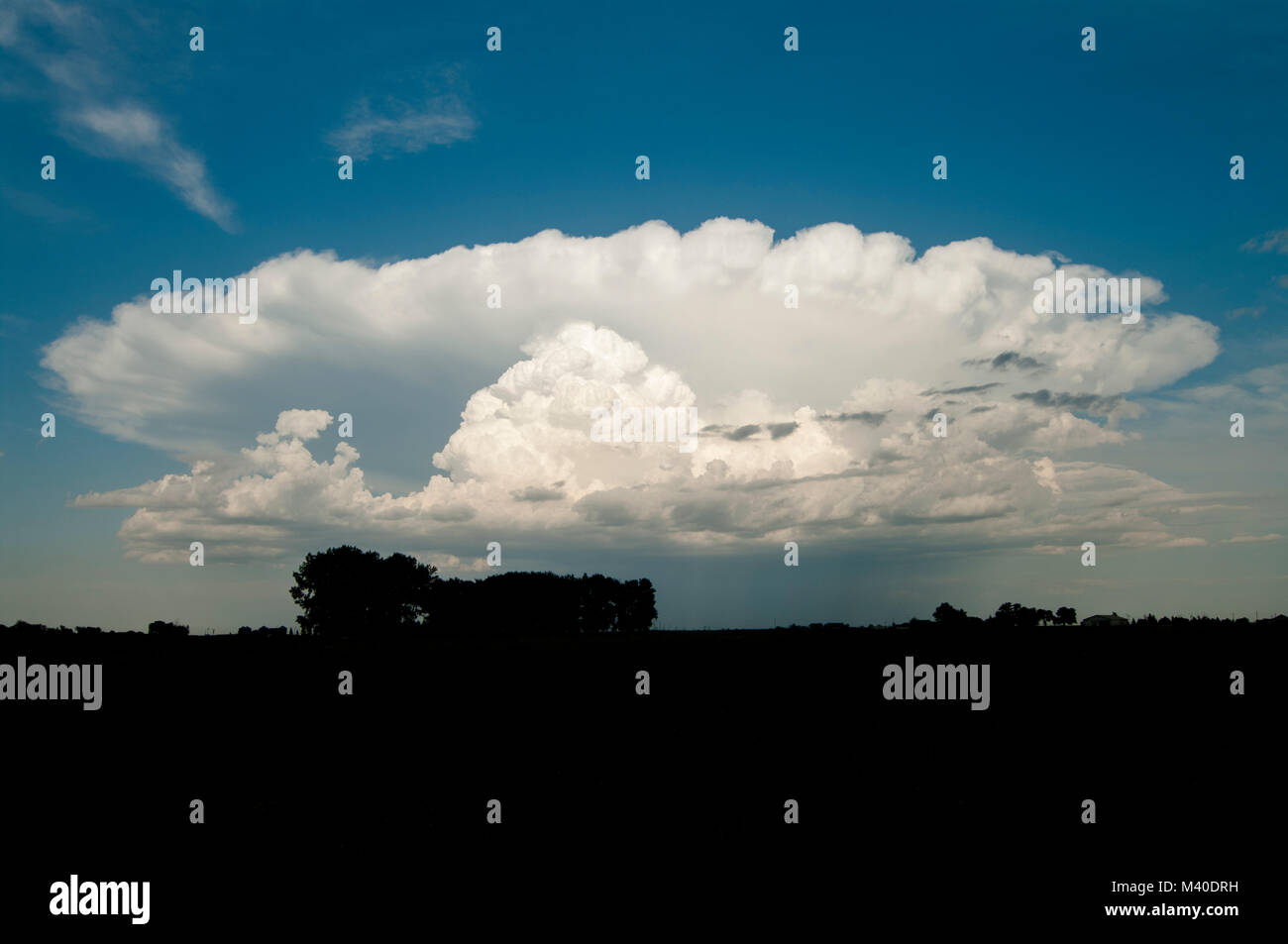 Alberta, Canada. Silhouette di prairie paesaggio con una supercell temporale nella distanza su una sera d'estate. Foto Stock