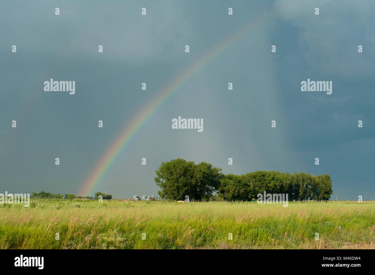 Alberta, Canada. Rainbow oltre le praterie su una sera d'estate. Foto Stock