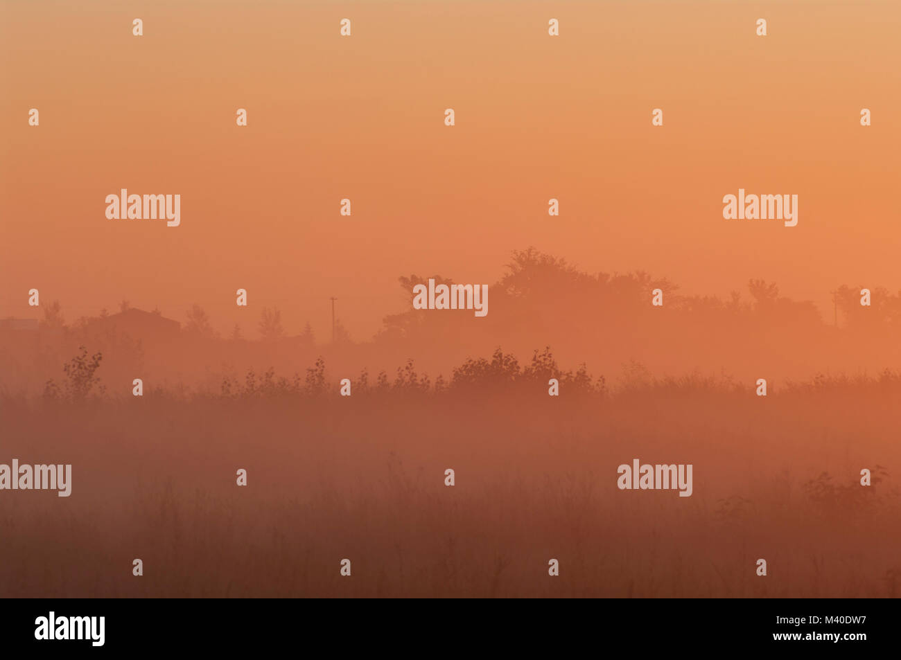 Alberta, Canada. Orange haze a sunrise in estate sulle praterie. Foto Stock