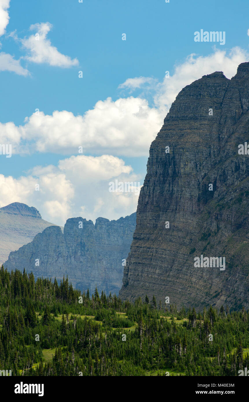 Il Parco Nazionale di Glacier, Montana, USA. Runner pesante di montagna come guardando a sud da Logan pass, orientamento verticale. Foto Stock