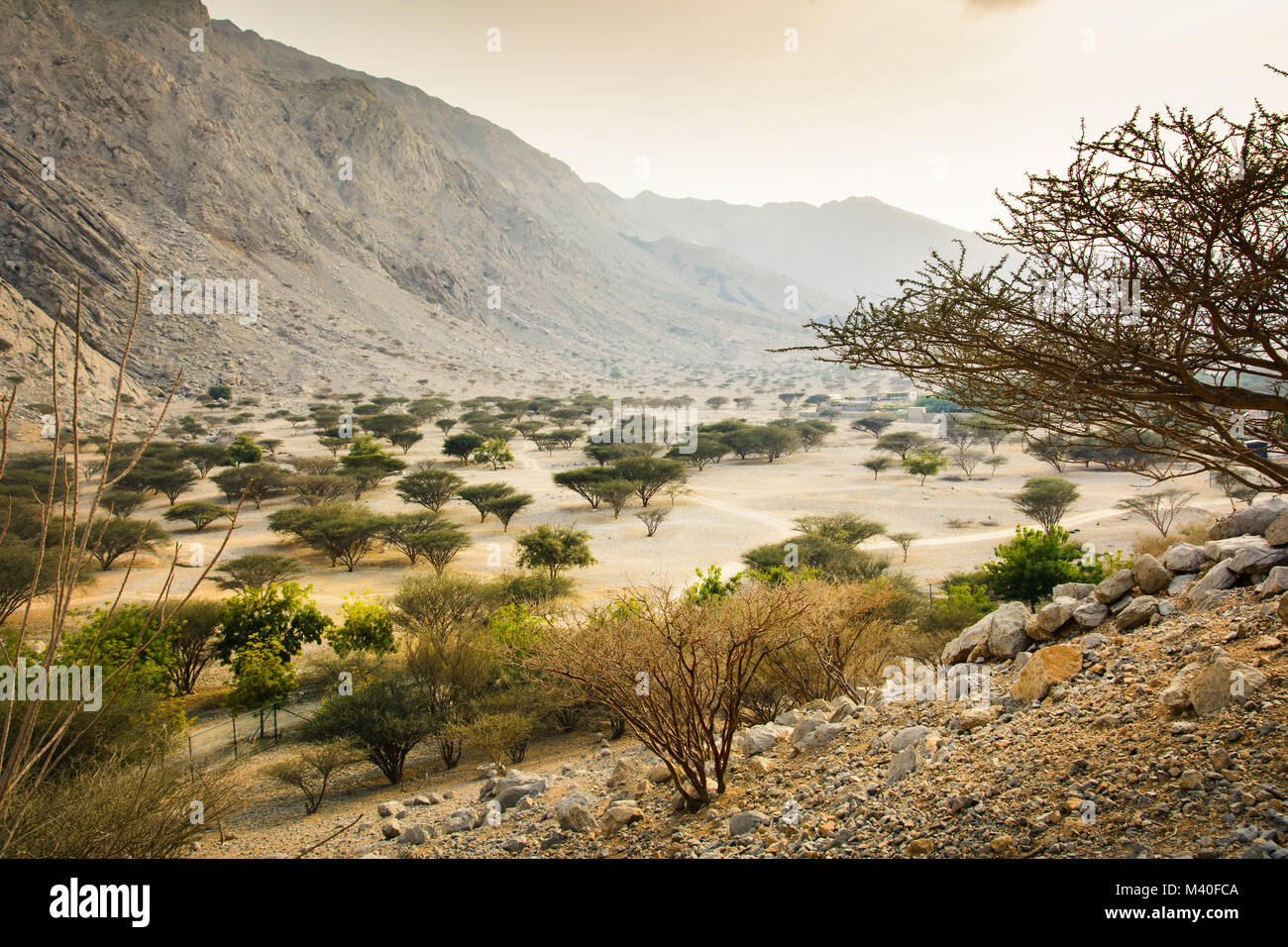 Jabal Jais mountain e il paesaggio del deserto vicino a Ras al Khaimah Emirati arabi uniti Foto Stock