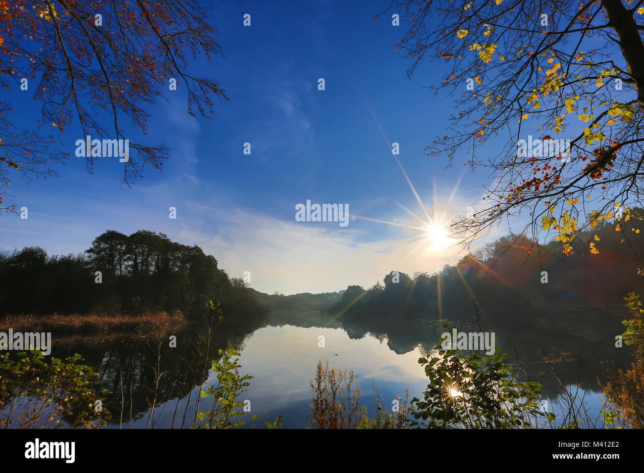 Un autunno magico paesaggio di sunrise. Perfetto riflessioni di alberi & sky pool in chiaro, ancora l'acqua. Abbagliante sun crea effetto starburst in cielo. Foto Stock