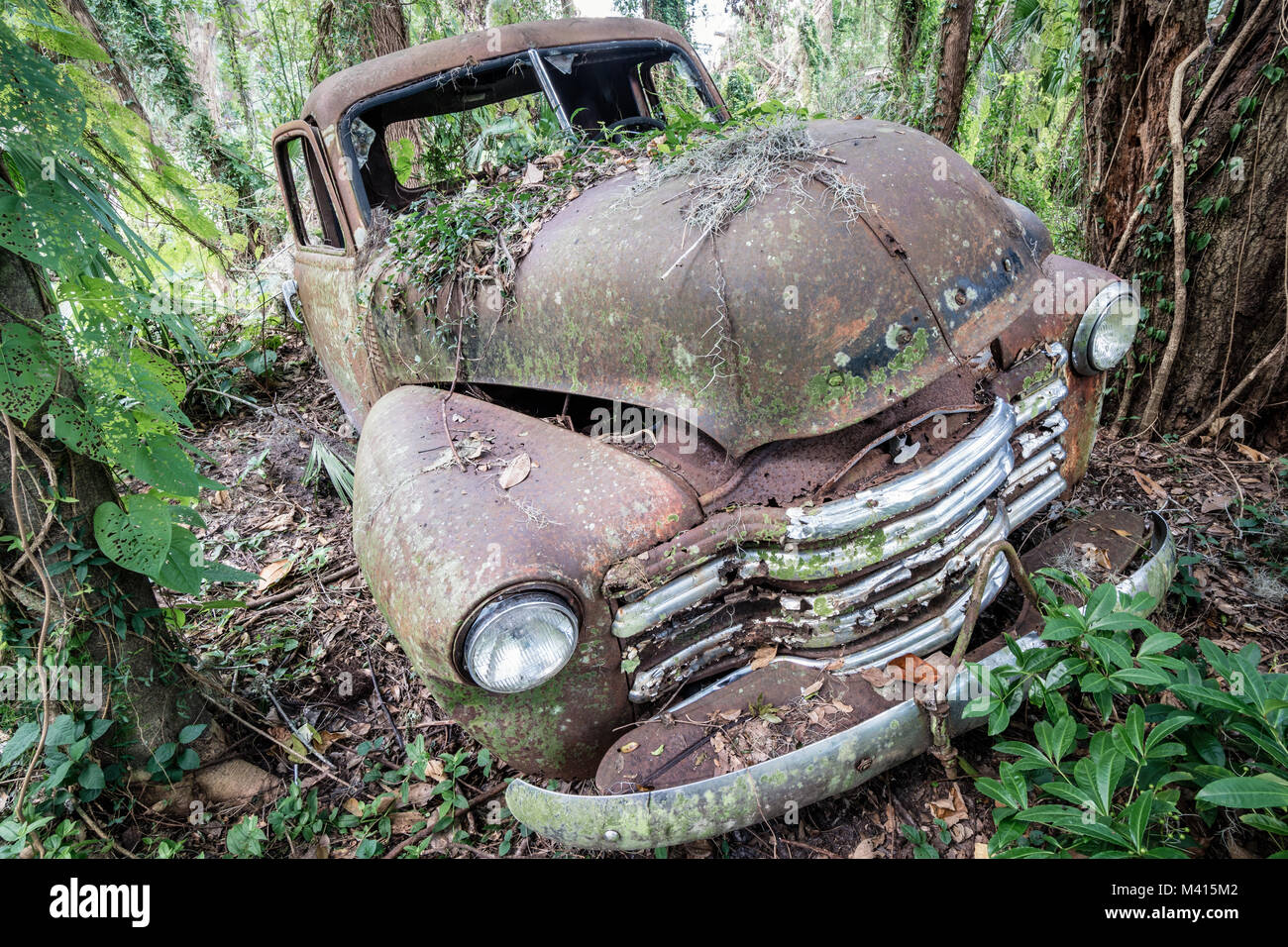 Vecchio arrugginito Chevy carrello nei boschi, trovati in Micanopy, Florida Foto Stock
