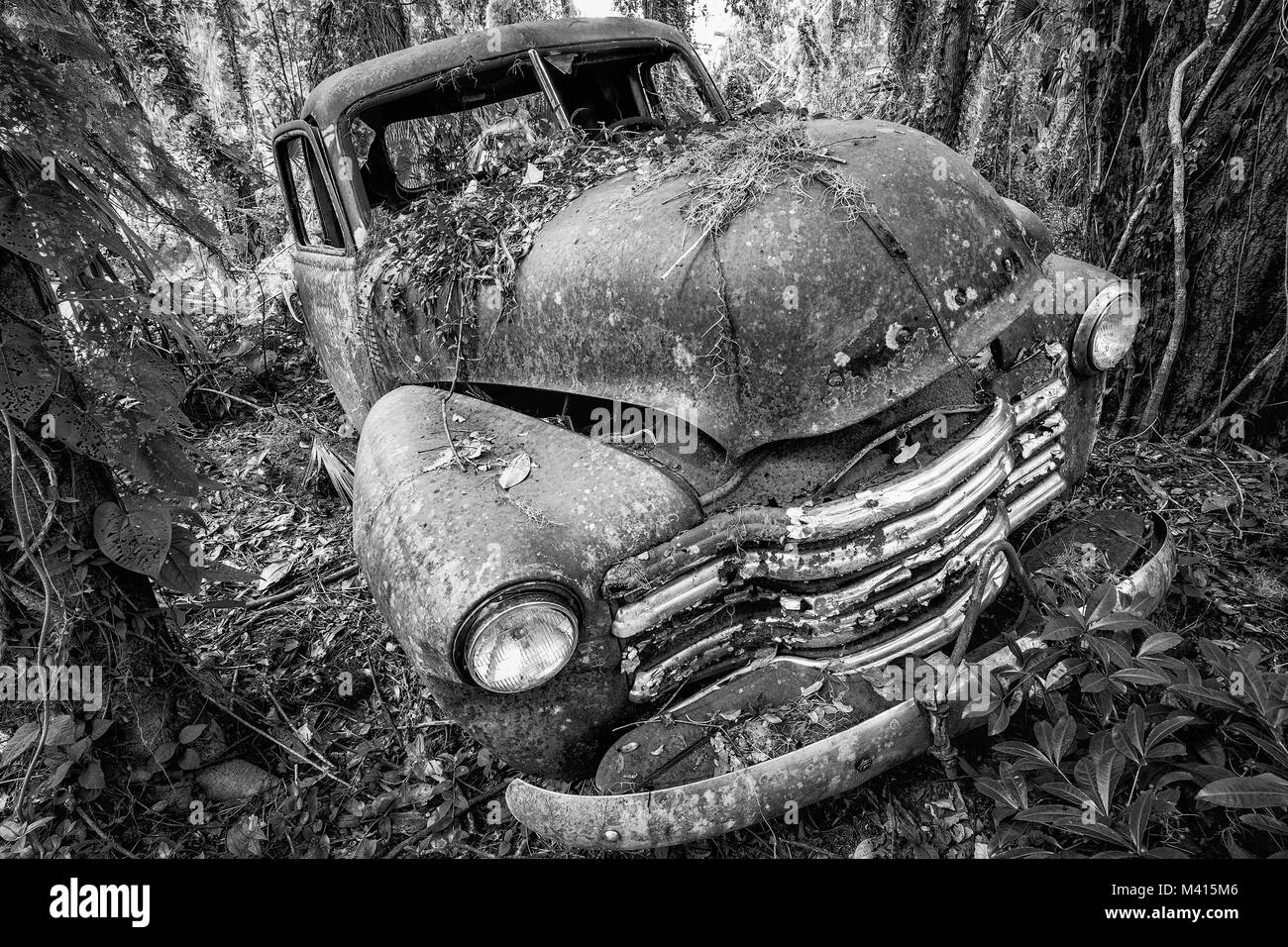 Vecchio arrugginito Chevy carrello nei boschi, trovati in Micanopy, Florida Foto Stock