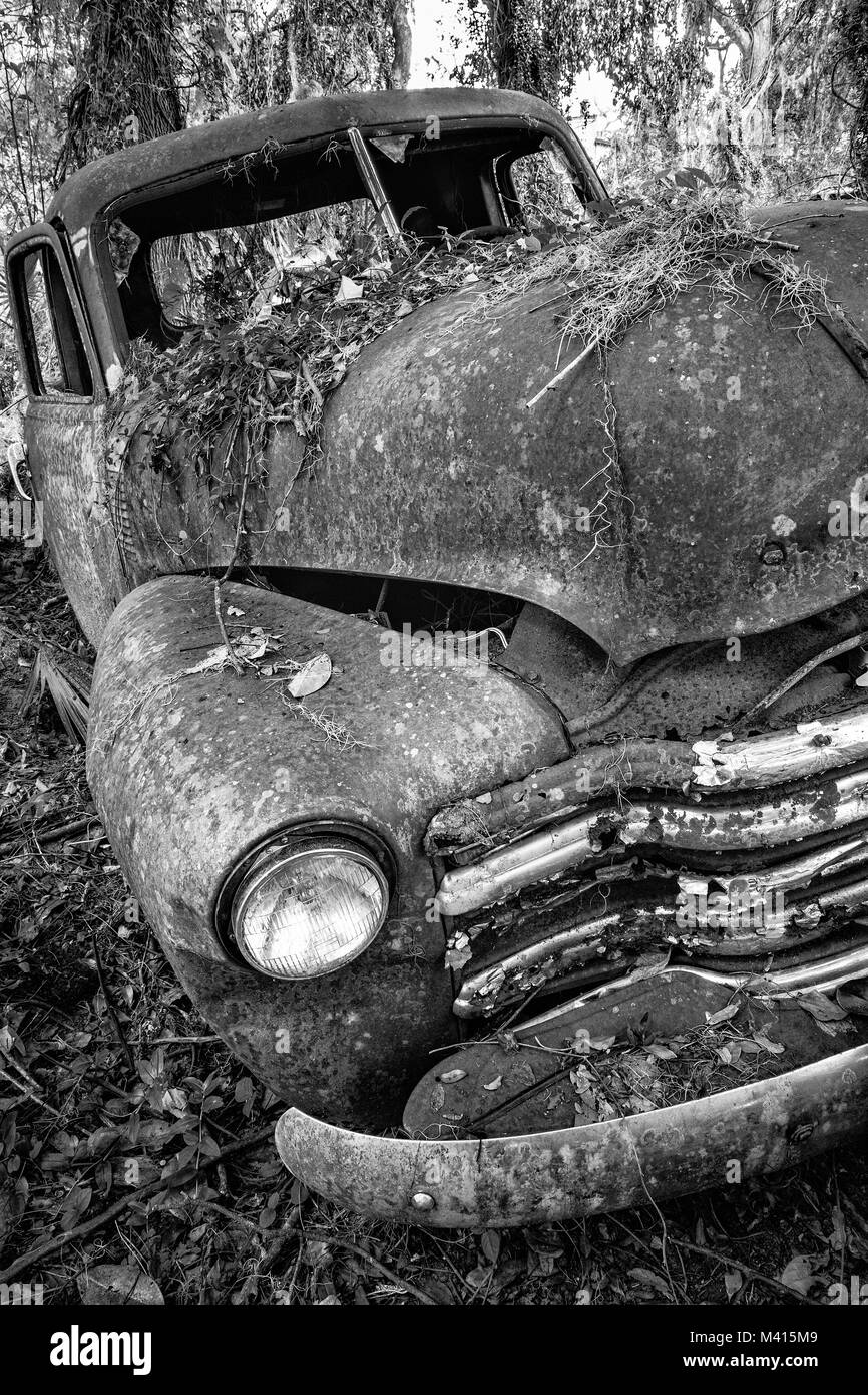 Vecchio arrugginito Chevy carrello nei boschi, trovati in Micanopy, Florida Foto Stock