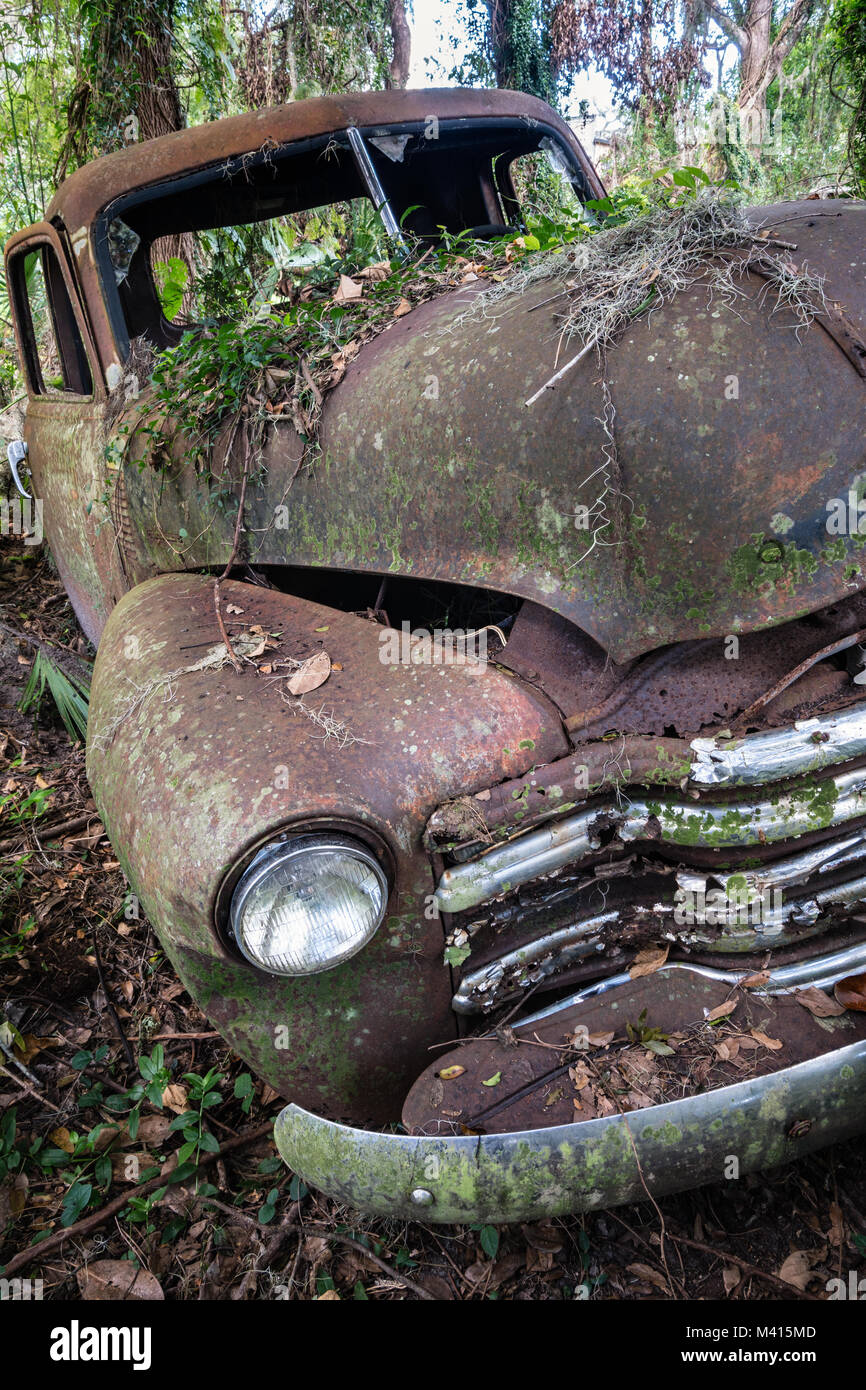 Vecchio arrugginito Chevy carrello nei boschi, trovati in Micanopy, Florida Foto Stock