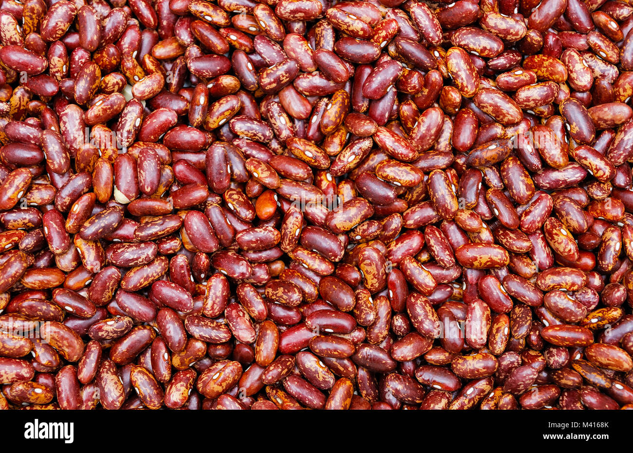 Molti semi di fagioli rossi come sfondo Foto Stock