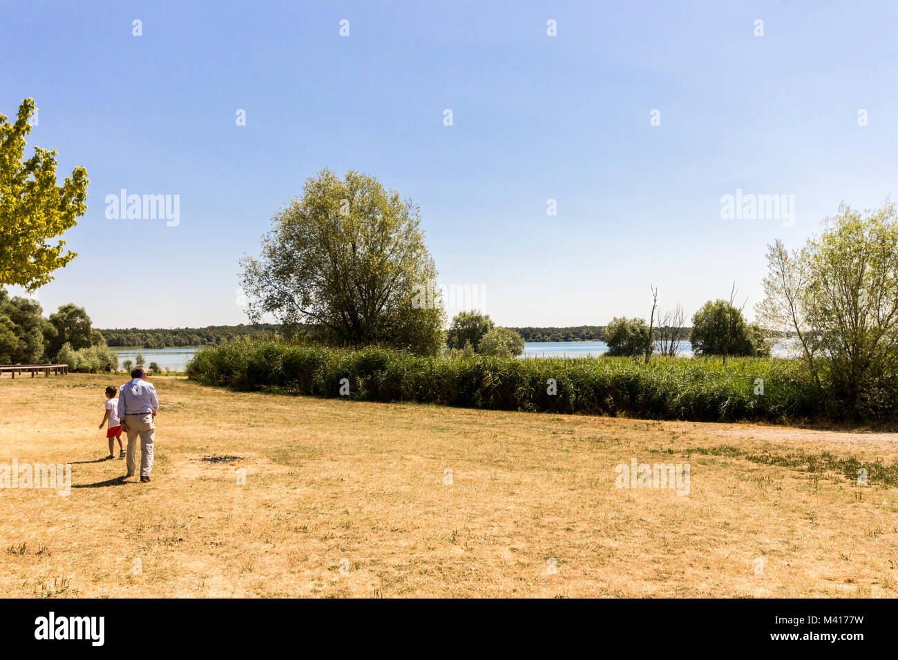 Il Lac d'Orient (East Lake) o Lac-réservoir Senna, un uomo fatto serbatoio lago situato nel dipartimento di Aube, Grand regione Est, Francia e uno di Foto Stock