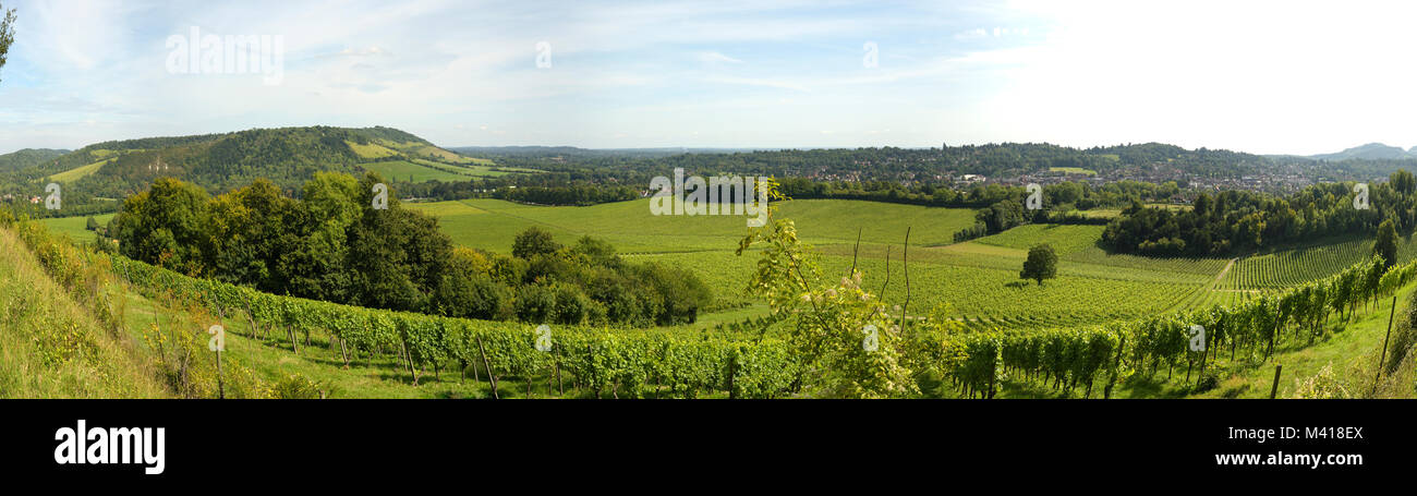 Box Hill e Dorking dal bordo di Ashcombe legno, vigne al Denbies vigneto di seguito. Foto Stock
