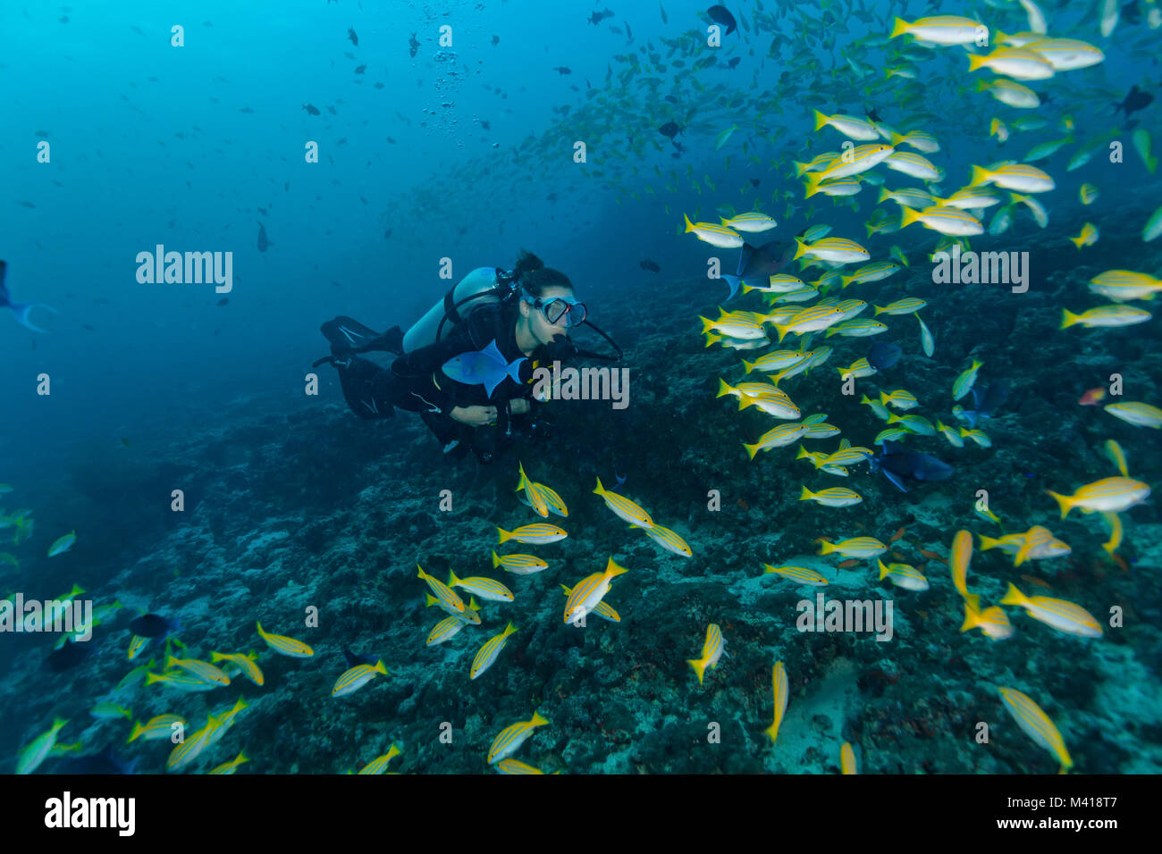 Giovane donna scuba diver esplorare Coral reef, attività subacquee Foto Stock