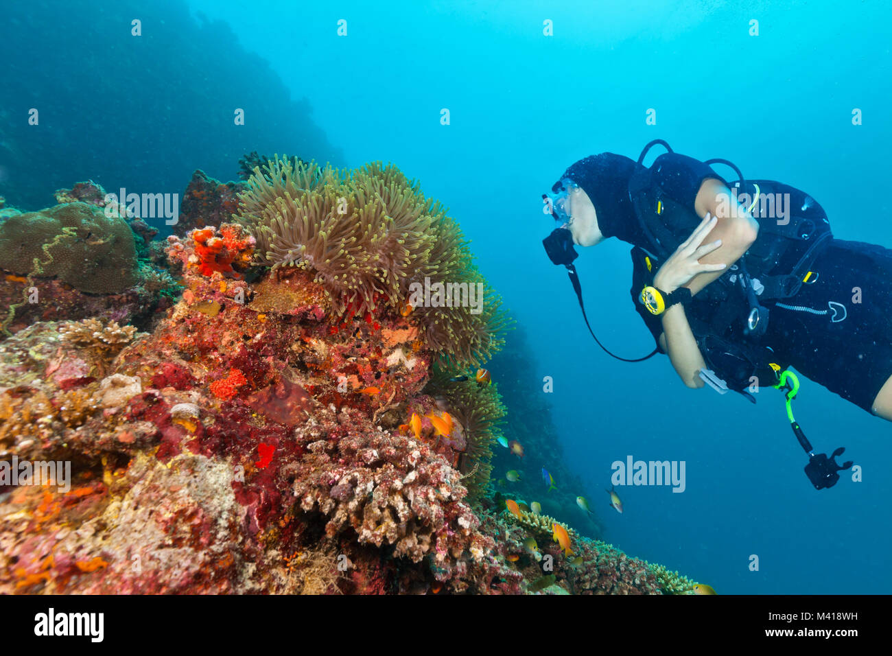 Giovane donna scuba diver esplorare Coral reef, attività subacquee Foto Stock