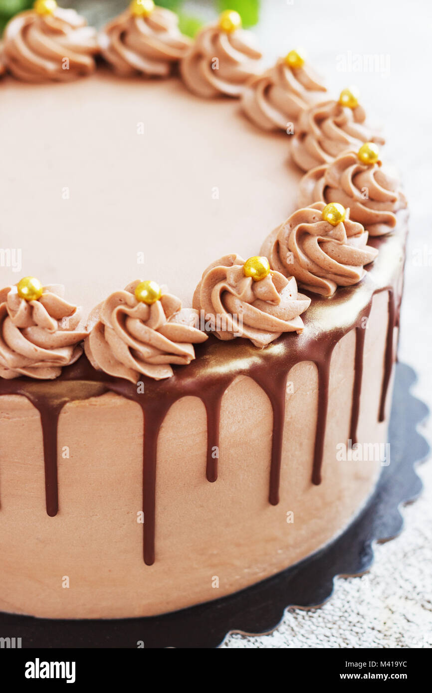 Torta al cioccolato con salsa al cioccolato spruzzata glassa e riccioli di cioccolato su sfondo bianco Foto Stock