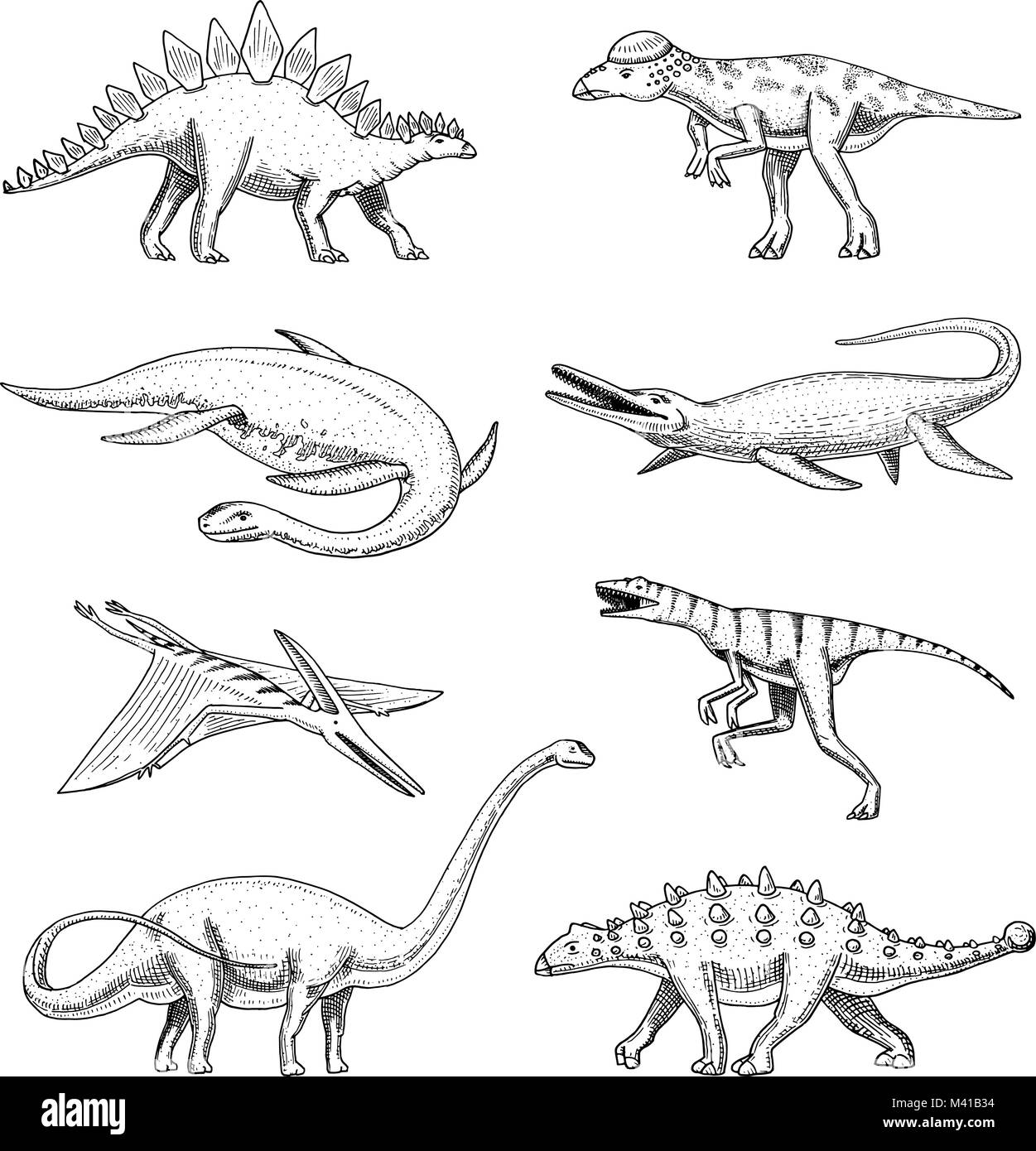 I dinosauri elasmosaurus, mosasaurus, barosaurus, diplodocus, pteranodonte, ankylosaurus, triceratops, fossili, alato lizard. American rettili preistorici, Jurassic incisi animali disegnati a mano il vettore. Illustrazione Vettoriale