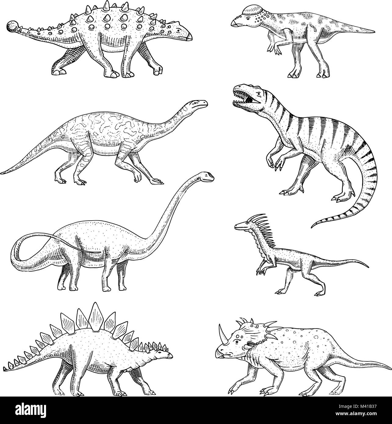 Set di dinosauri, triceratops, barosaurus, Tyrannosaurus rex, stegosaurus, pachycephalosaurus, diplodocus, deinonychus, velociraptor, scheletri, fossili. Rettili preistorici, animale disegnato a mano il vettore. Illustrazione Vettoriale