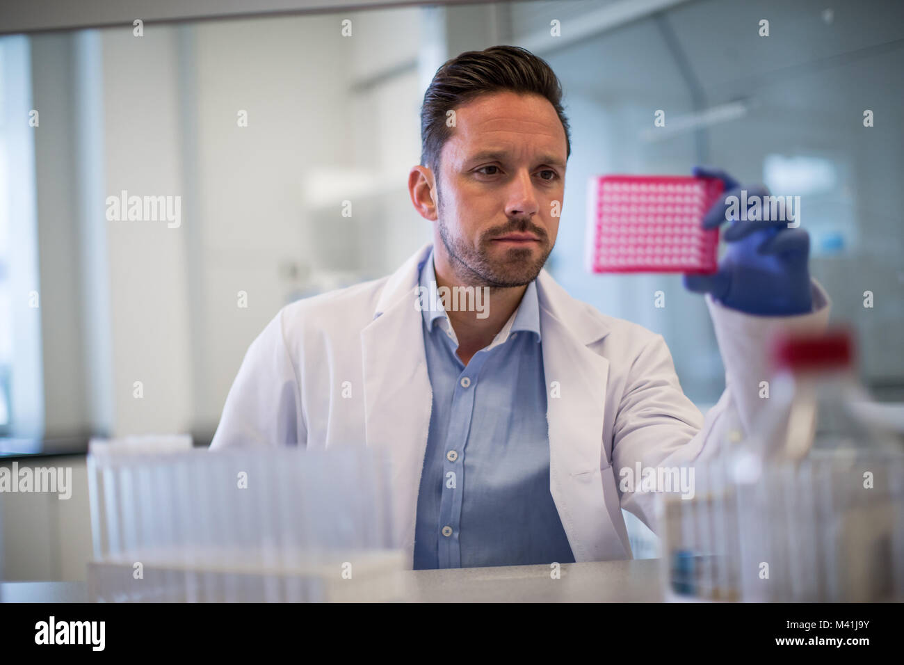 Scienziato maschio guardando micropiastra in un laboratorio Foto Stock