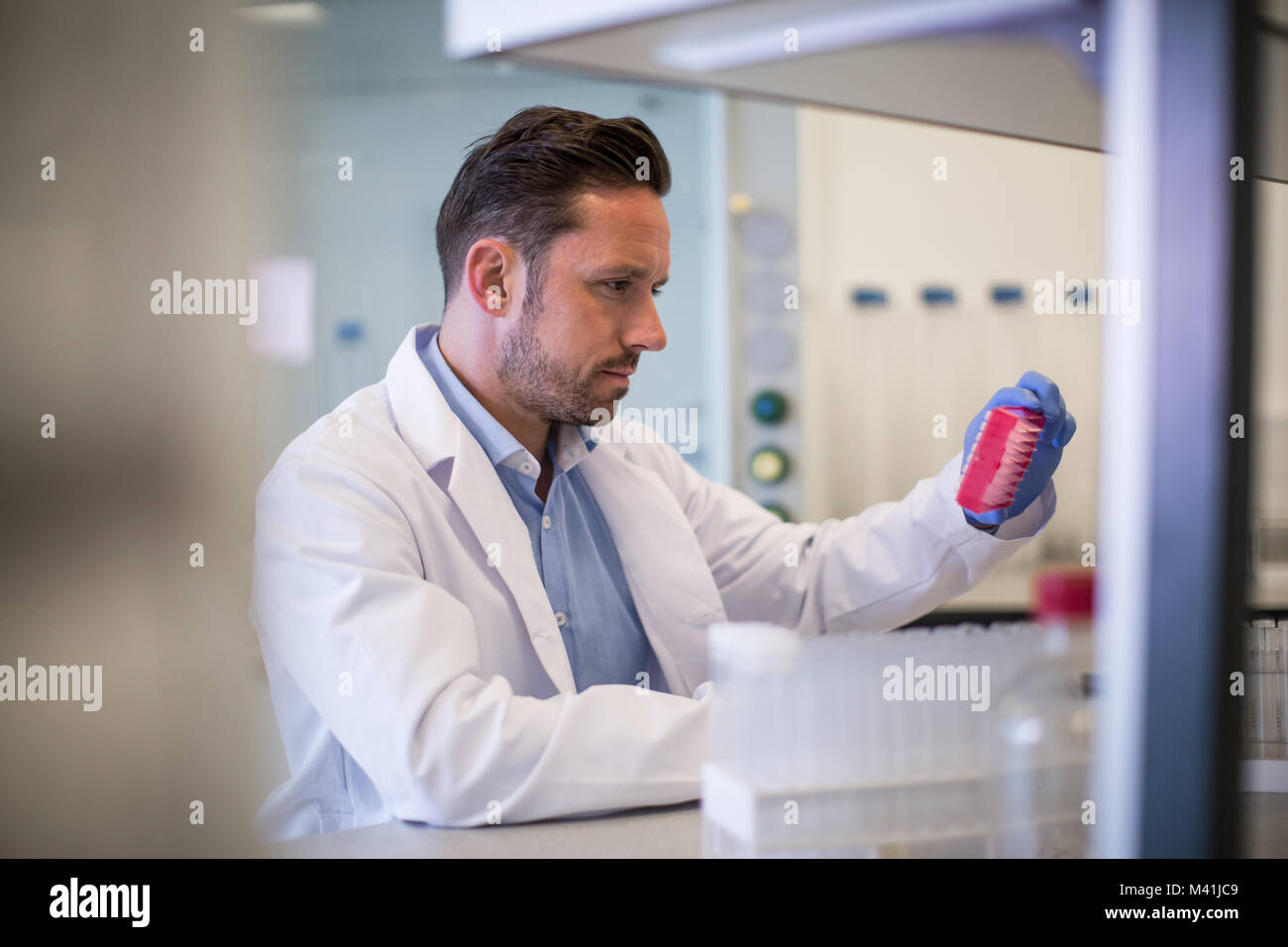 Scienziato maschio guardando micropiastra in un laboratorio Foto Stock