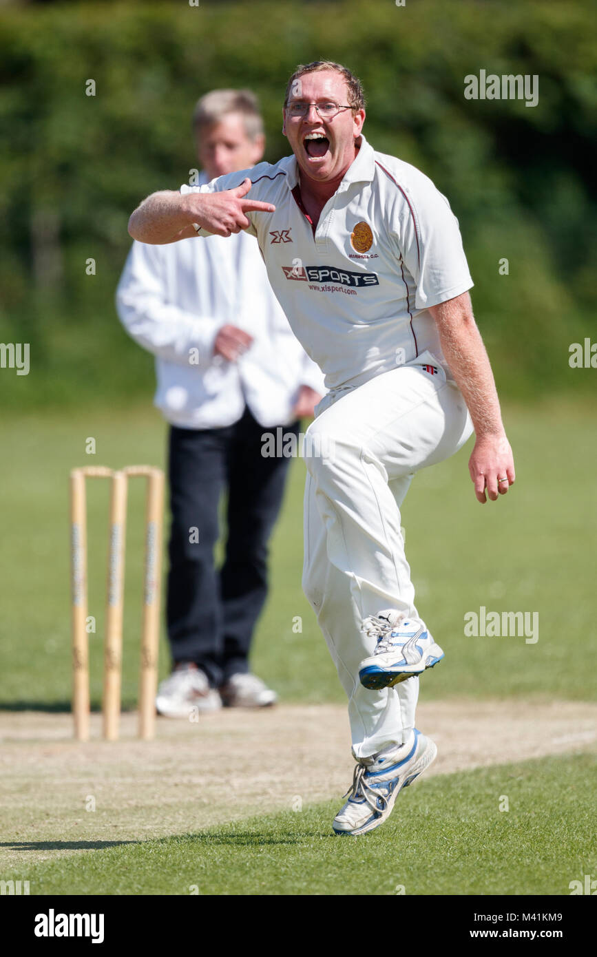 Il cricket, bowler celebrando paletto. Foto Stock