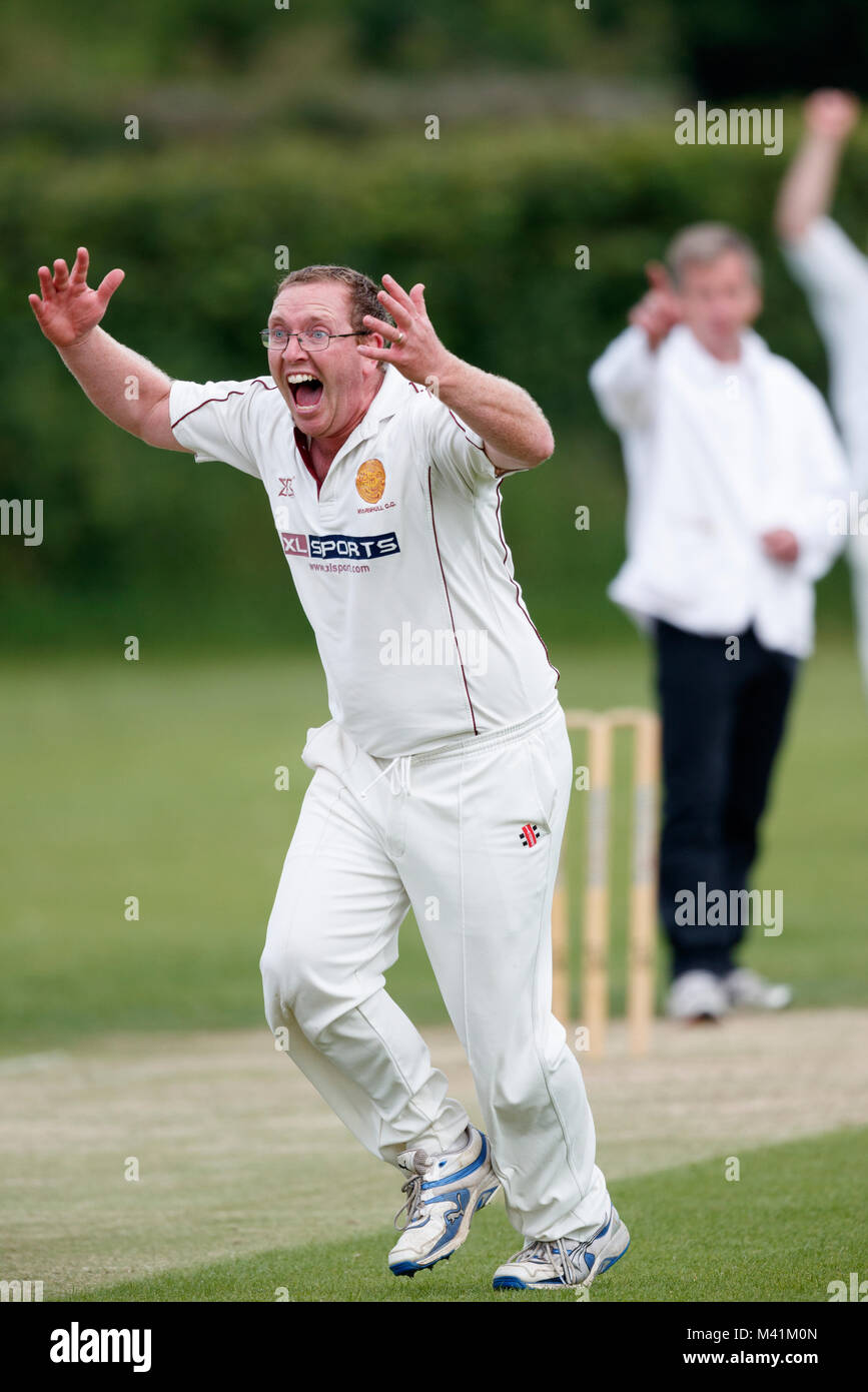 Il cricket, bowler celebrando paletto. Foto Stock