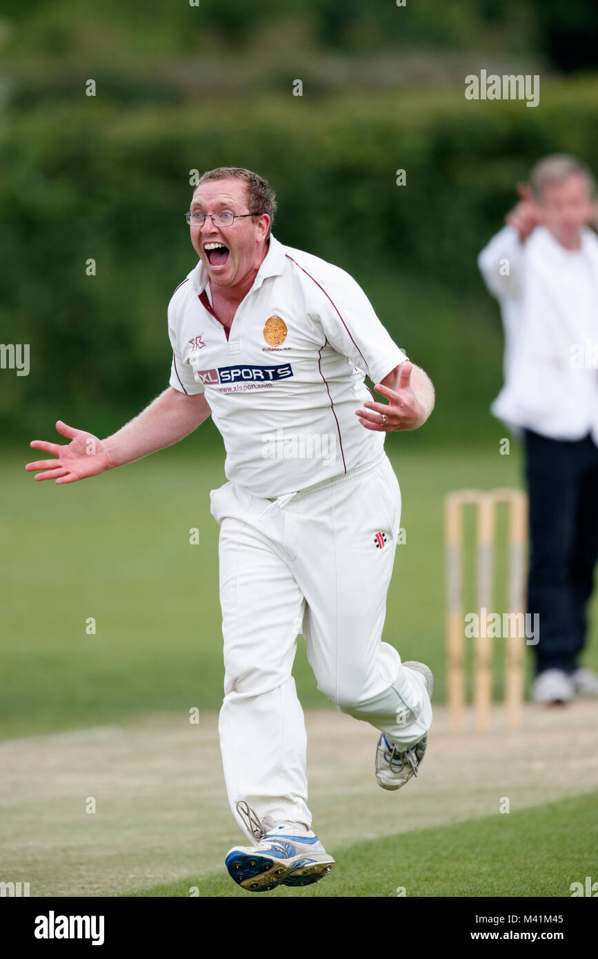 Il cricket, bowler celebrando paletto. Foto Stock