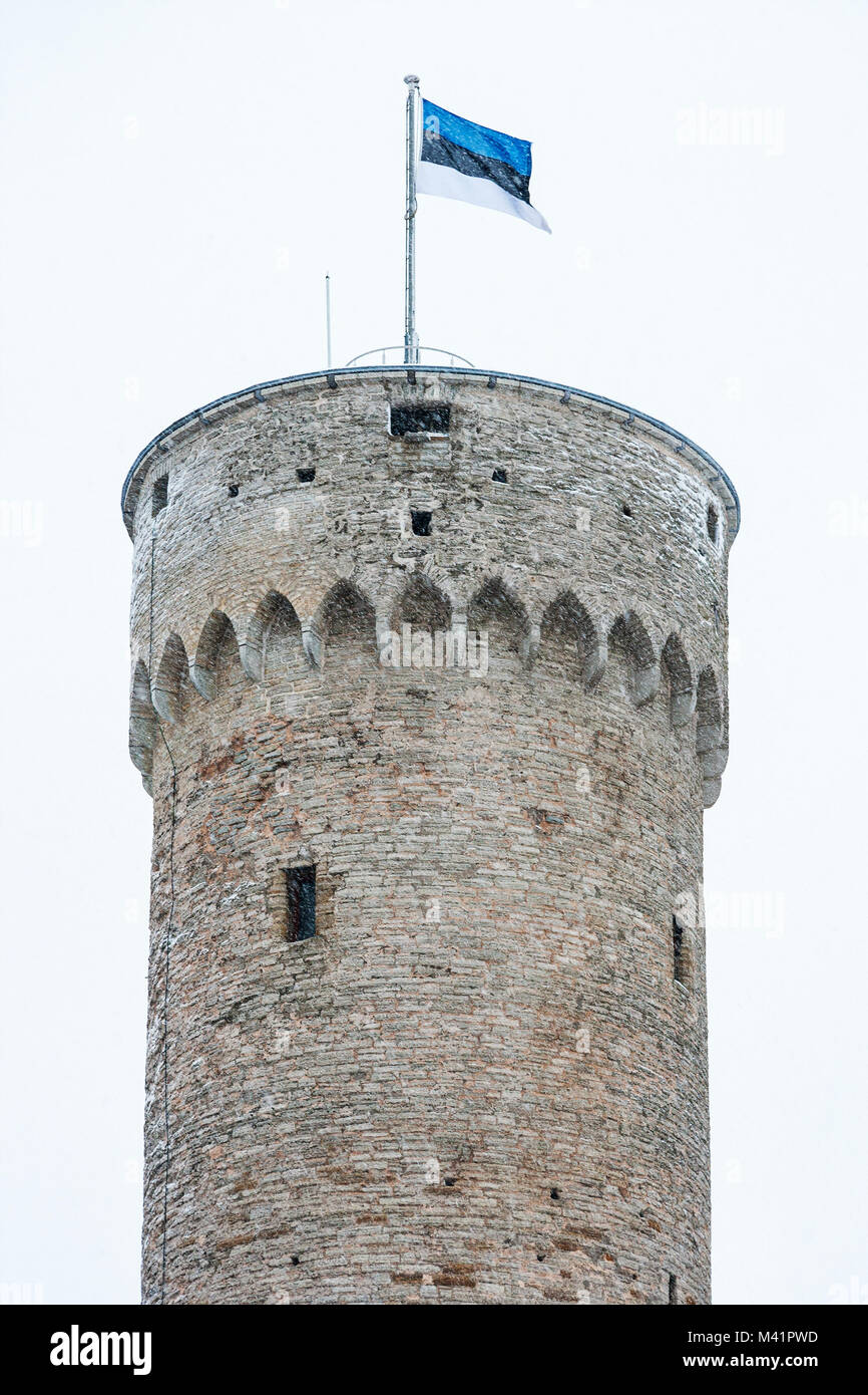 Lungo la torre Herman con bandiera estone durante una nevicata. Tallinn, Estonia, Europa Foto Stock