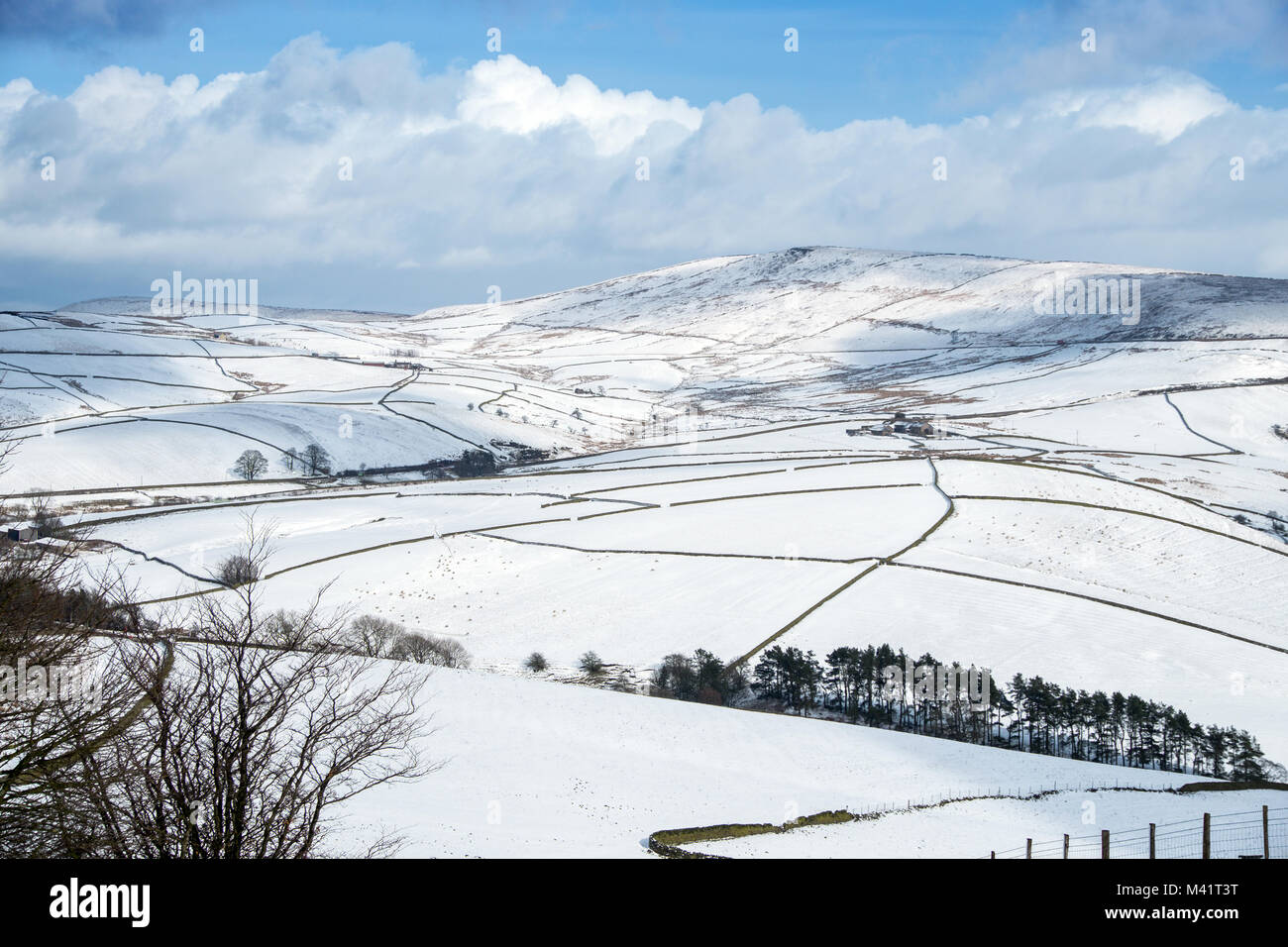 Shining Tor, inverno, Parco Nazionale di Peak District,UK Foto Stock