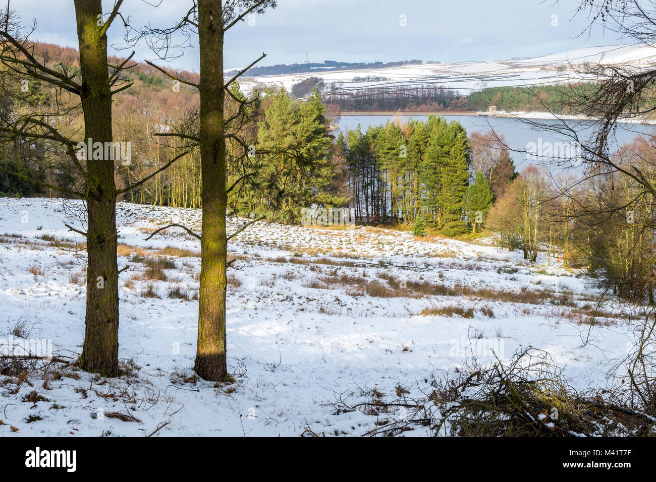 Serbatoio Errwood nel Goyt Valley, inverno, Parco Nazionale di Peak District,UK Foto Stock