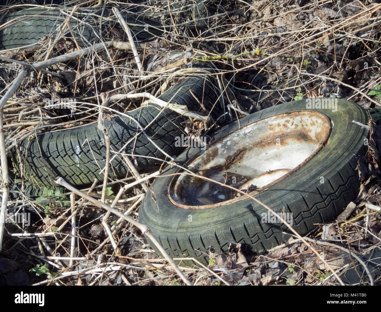 Vecchia auto Pneumatici Pneumatici o oggetto di pratiche di dumping nel sottobosco in campagna, REGNO UNITO Foto Stock