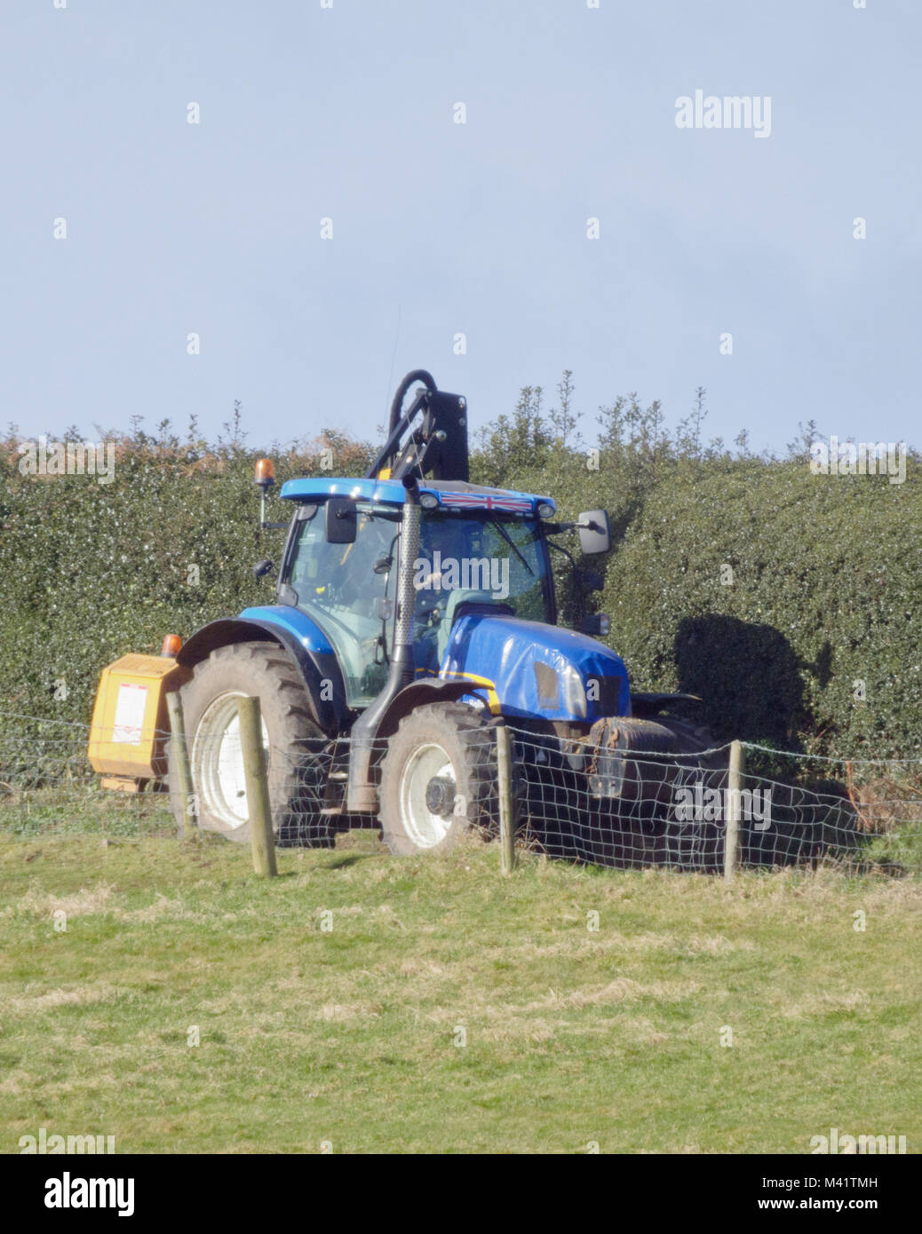 Il trattore taglio di siepi una siepe su terreni agricoli in febbraio, REGNO UNITO Foto Stock