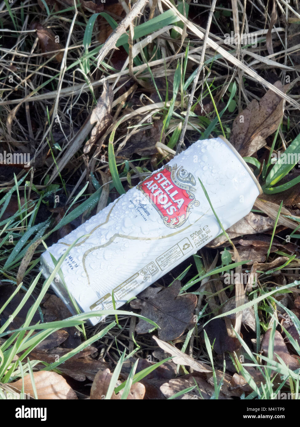 Scartato può della Stella Artois Lager su una banchina verga, REGNO UNITO Foto Stock