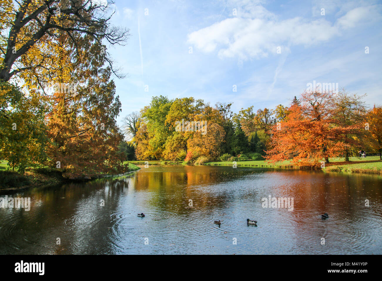 Una foto dal parco di un castello durante il colorato assolato pomeriggio d'autunno. Foto Stock