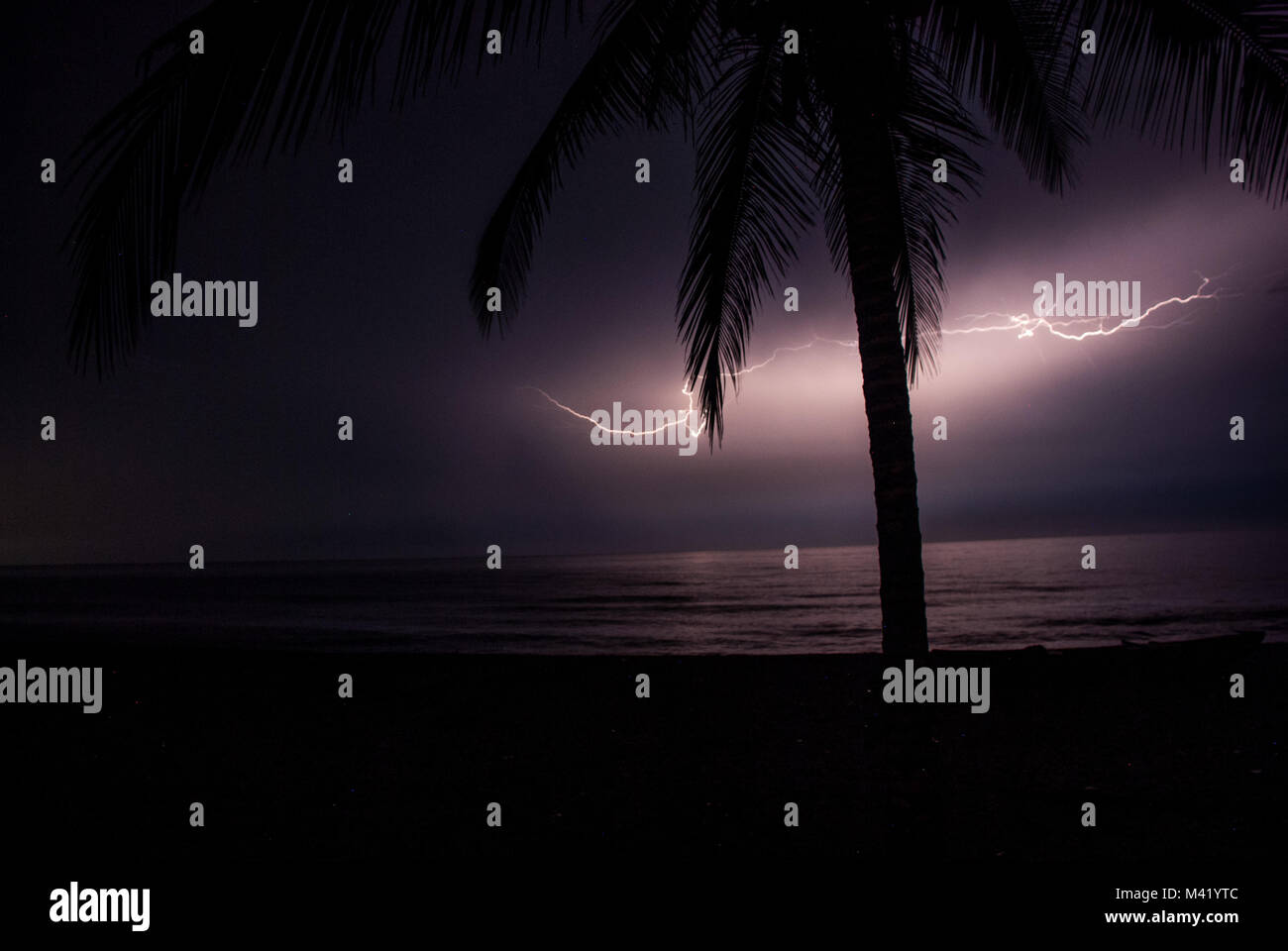 Un fulmine la rottura sul Mar dei Caraibi e illuminazione di un albero di palma Foto Stock